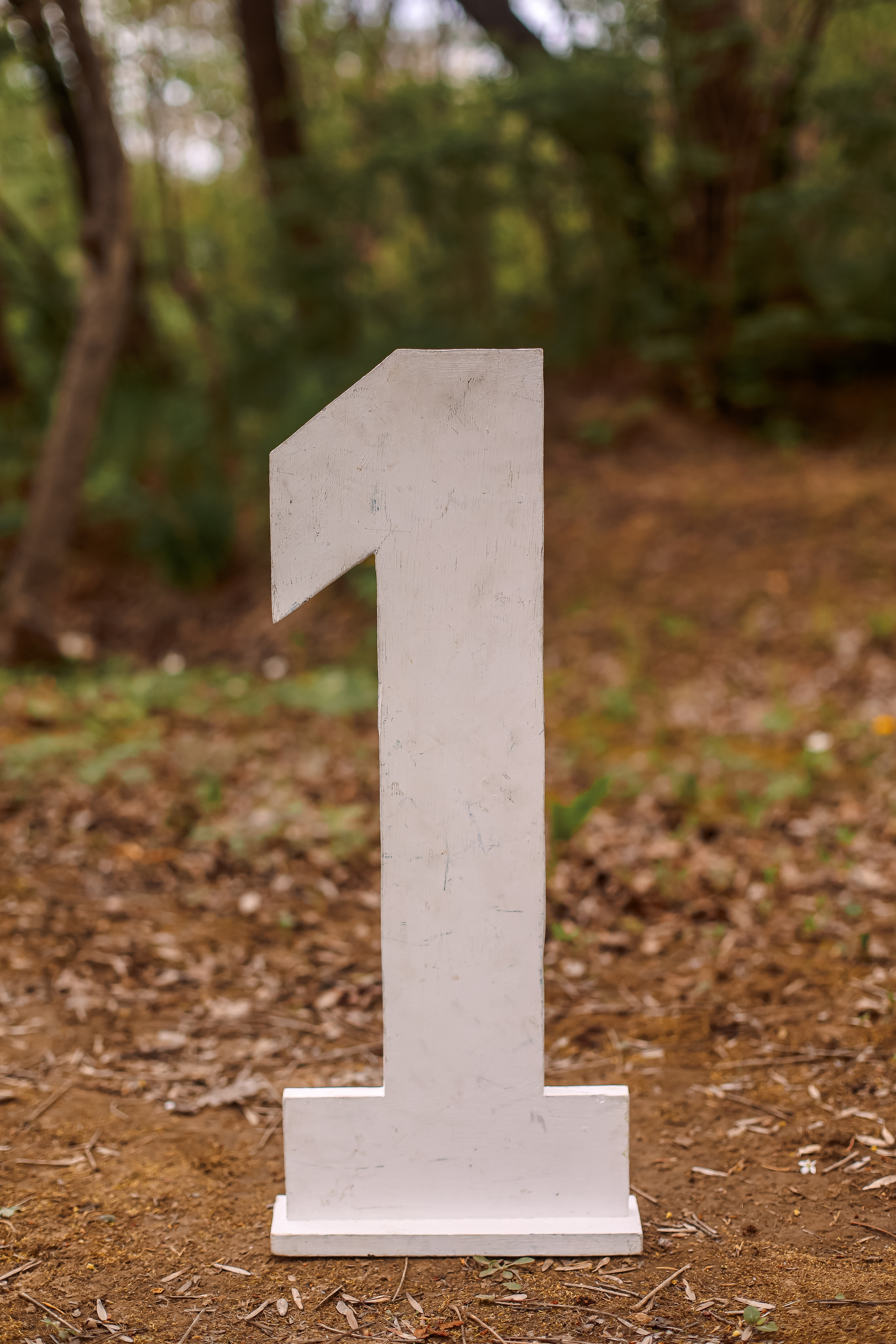 Цифры. Семейный и свадебный фотограф во Владивостоке Аня Смецкая