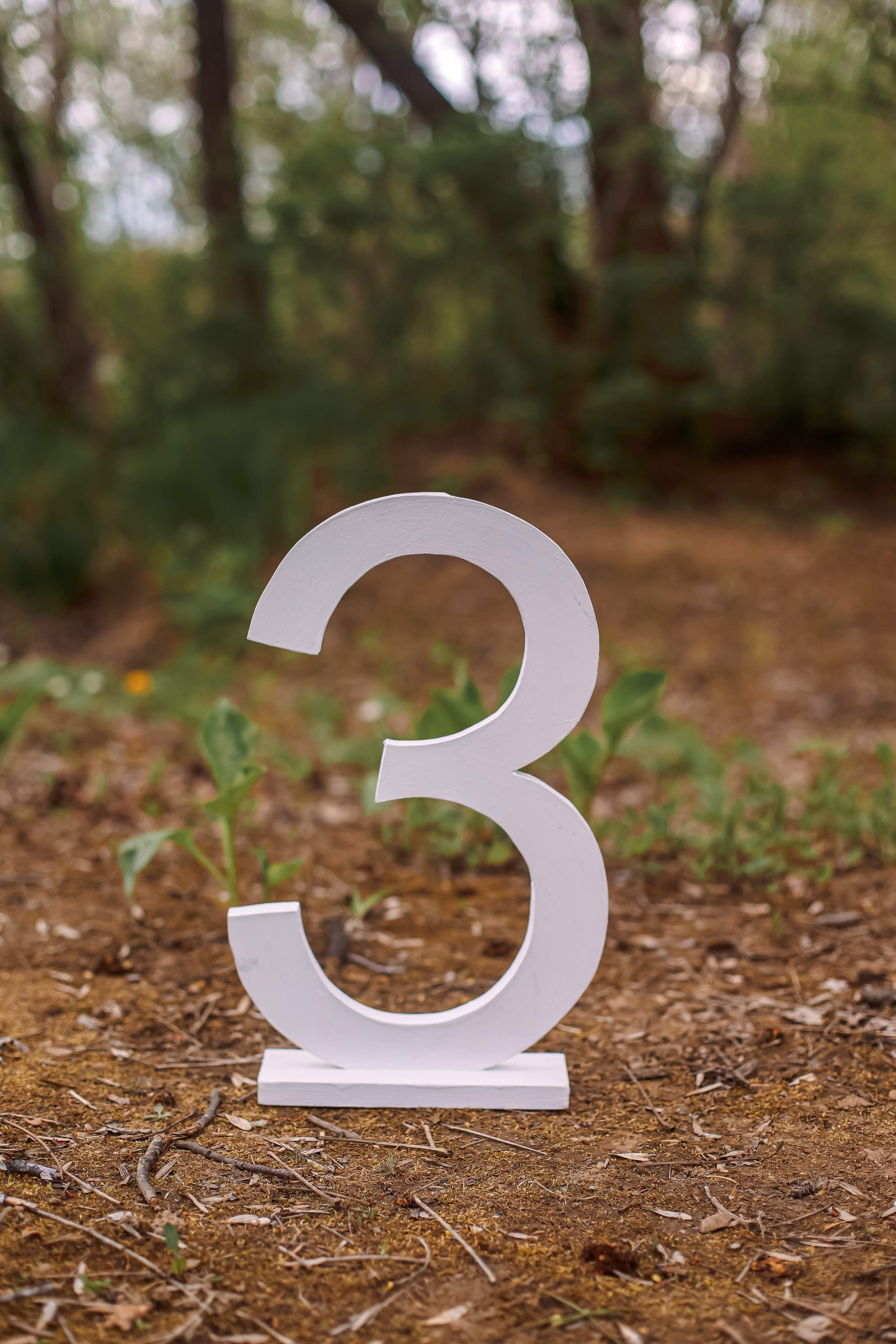 Цифры. Семейный и свадебный фотограф во Владивостоке Аня Смецкая