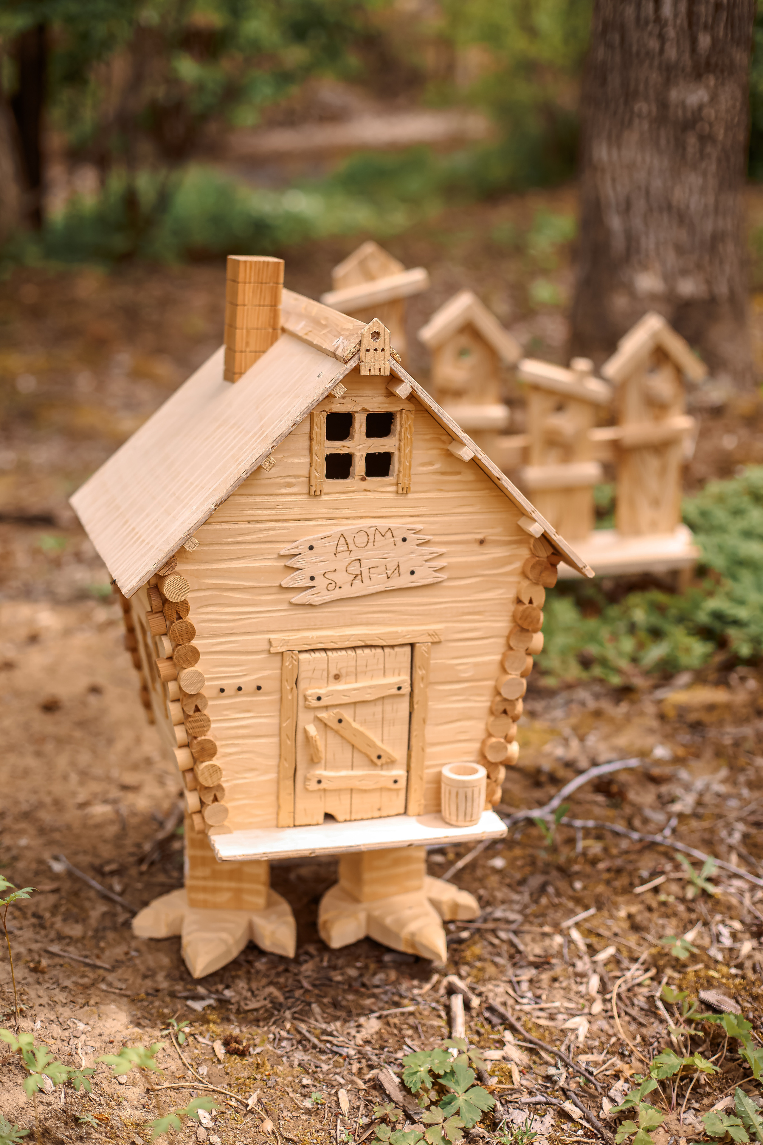 Лесная зона. Семейный и свадебный фотограф во Владивостоке Аня Смецкая