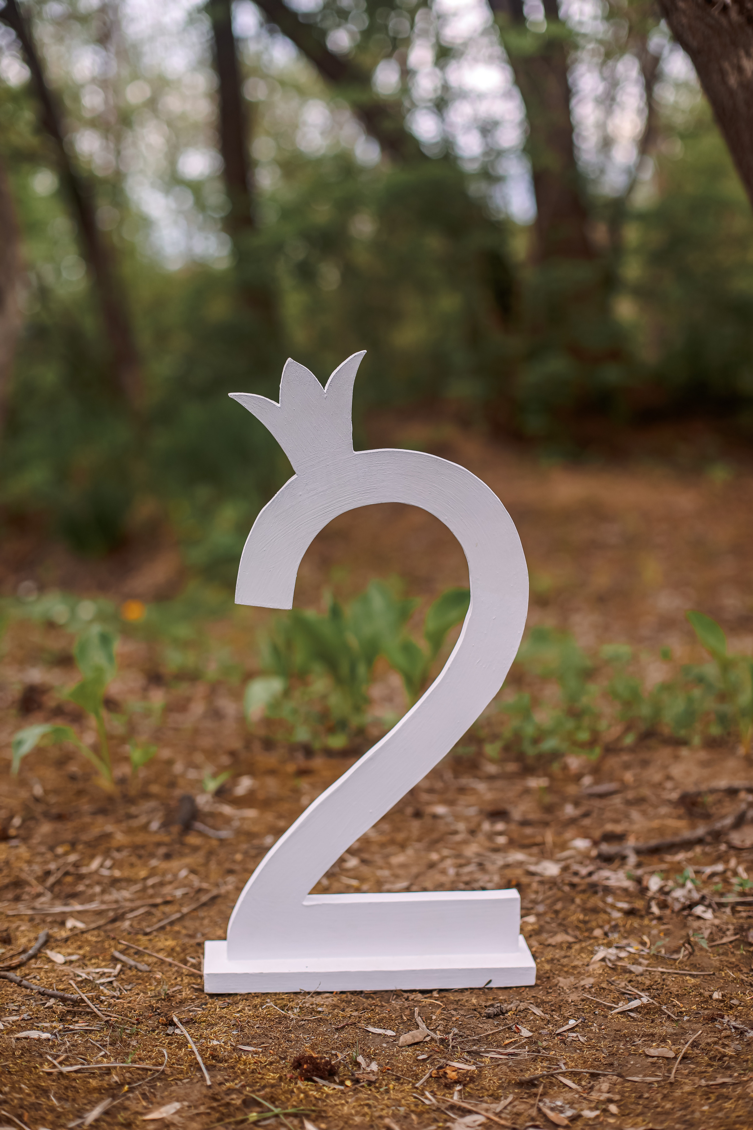 Цифры. Семейный и свадебный фотограф во Владивостоке Аня Смецкая