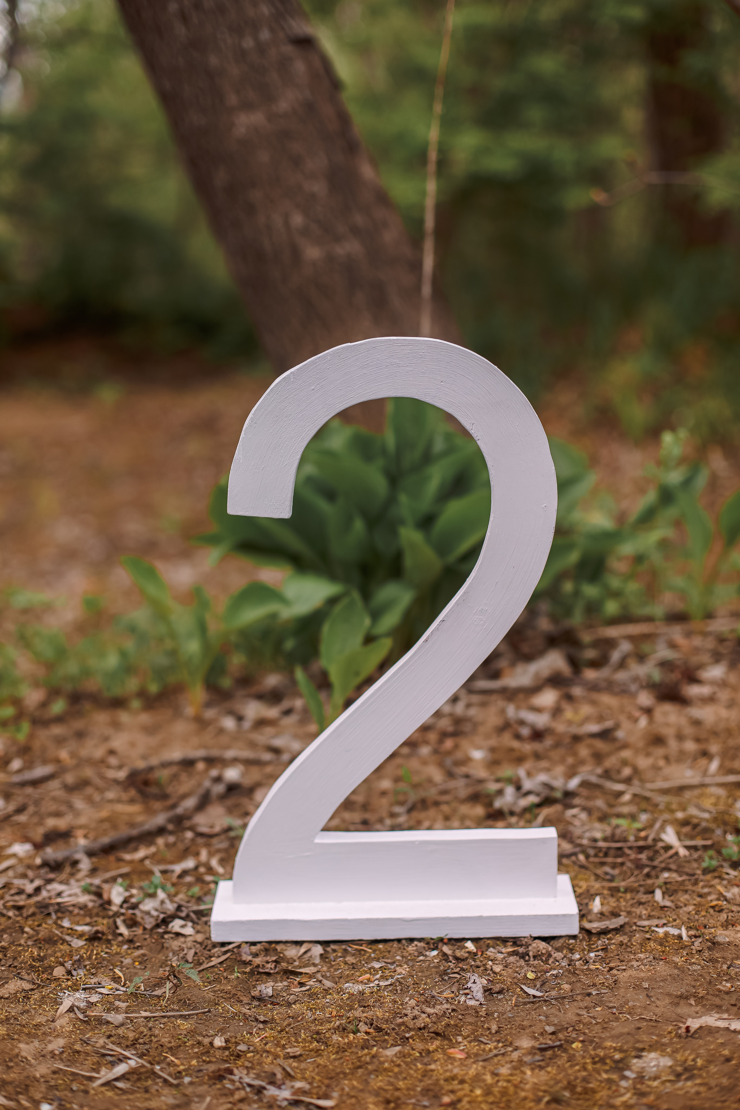 Цифры. Семейный и свадебный фотограф во Владивостоке Аня Смецкая