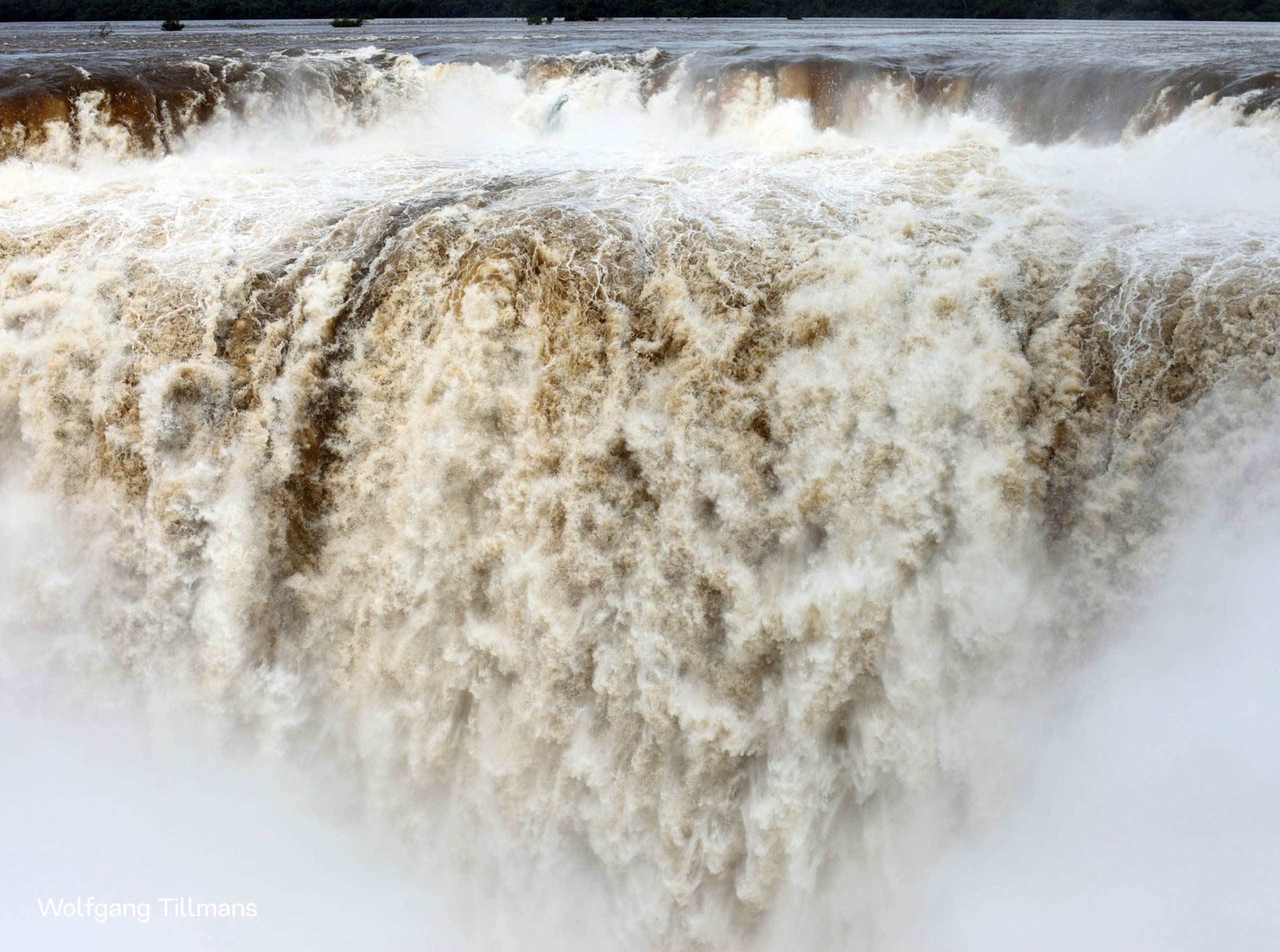 Теория фотографии: проблемы и концепты. Самоорганизация Низина