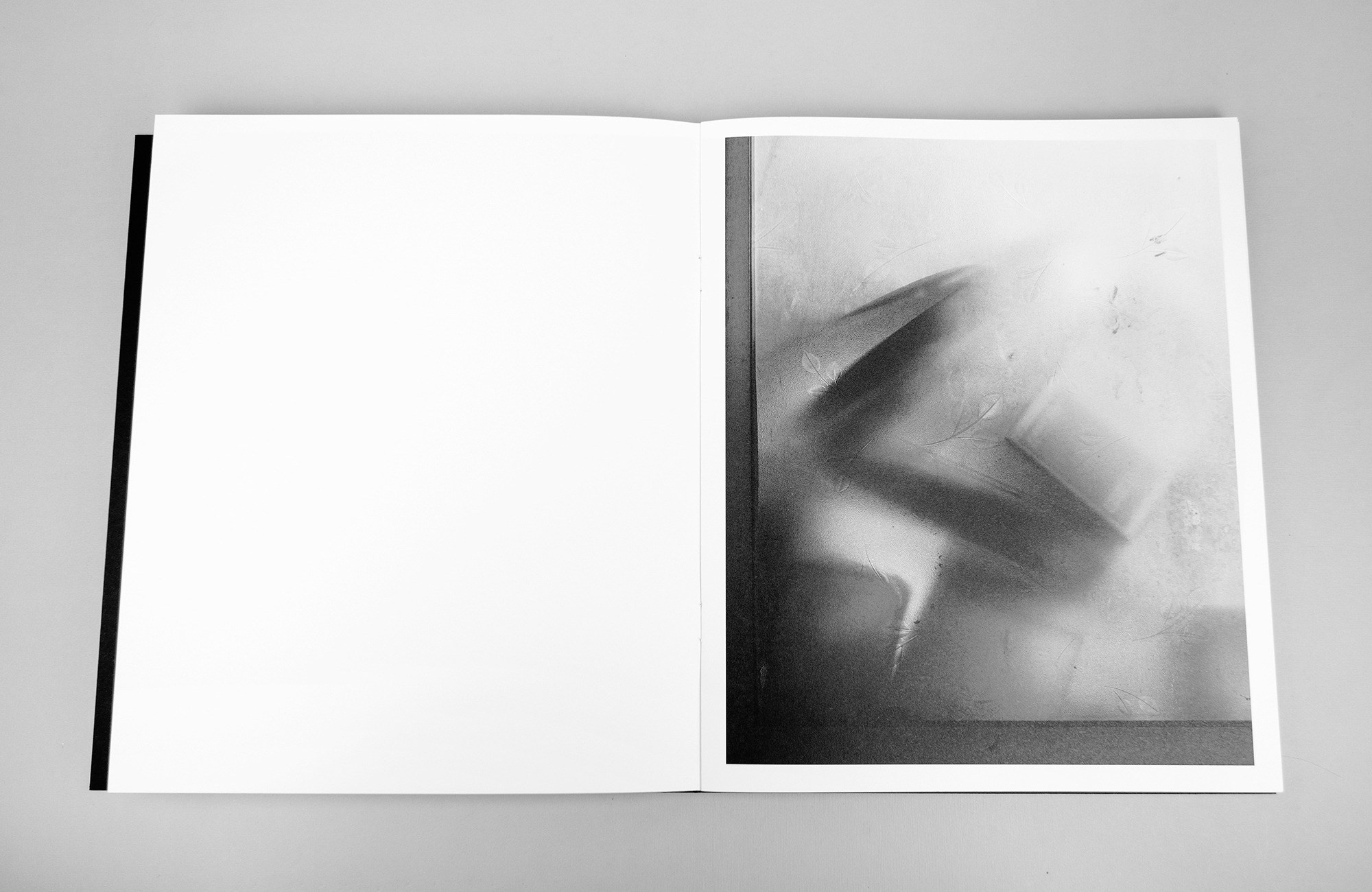 Как форма книги может влиять на концепт?. Самоорганизация Низина