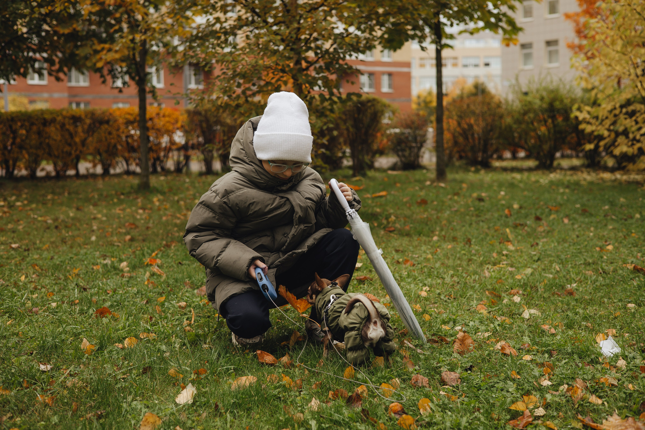 Осенние зарисовки