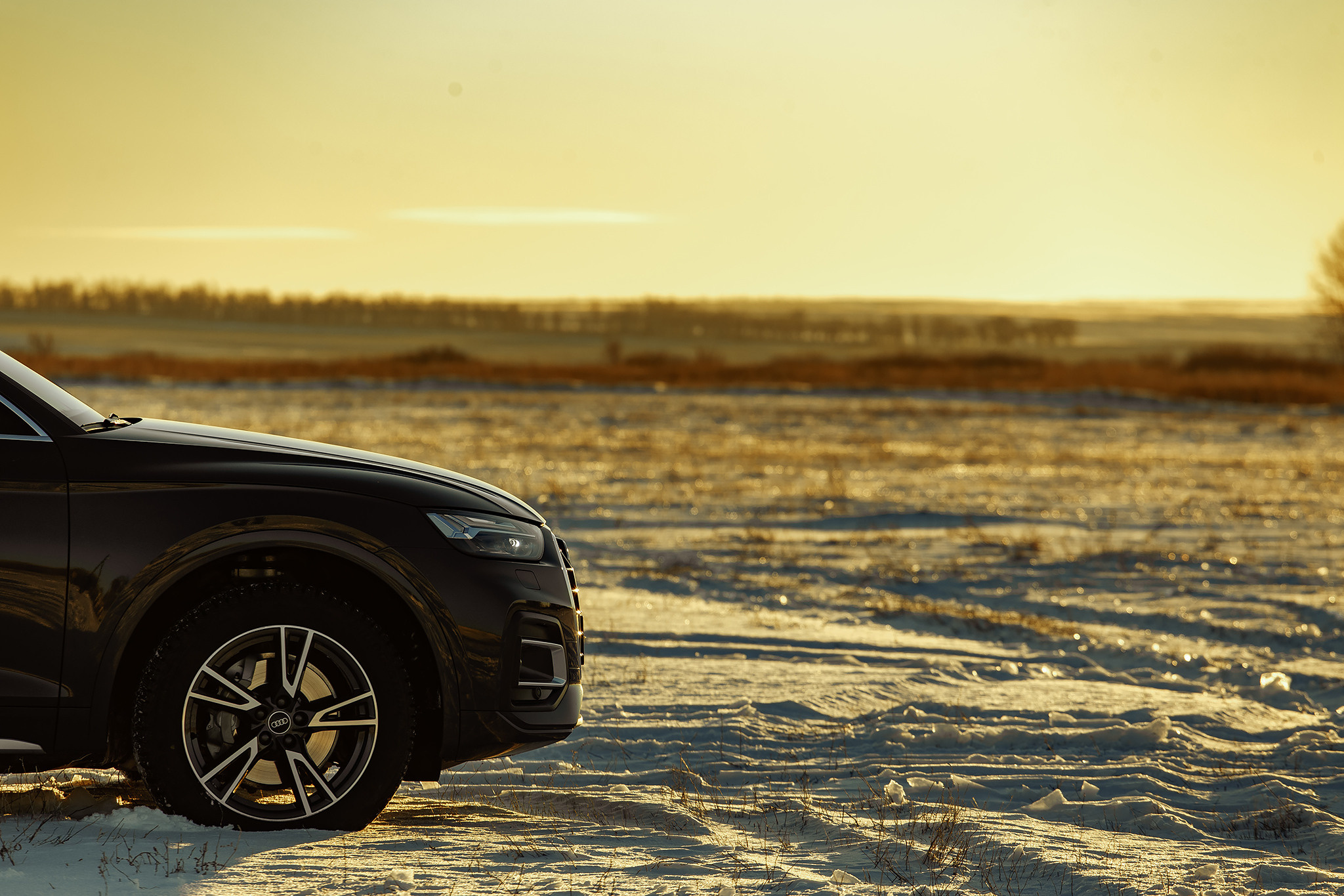 День для неё, для него и для них. Фотограф  Уфа, Москва, Казань, Питер Ильдар Кудабаев