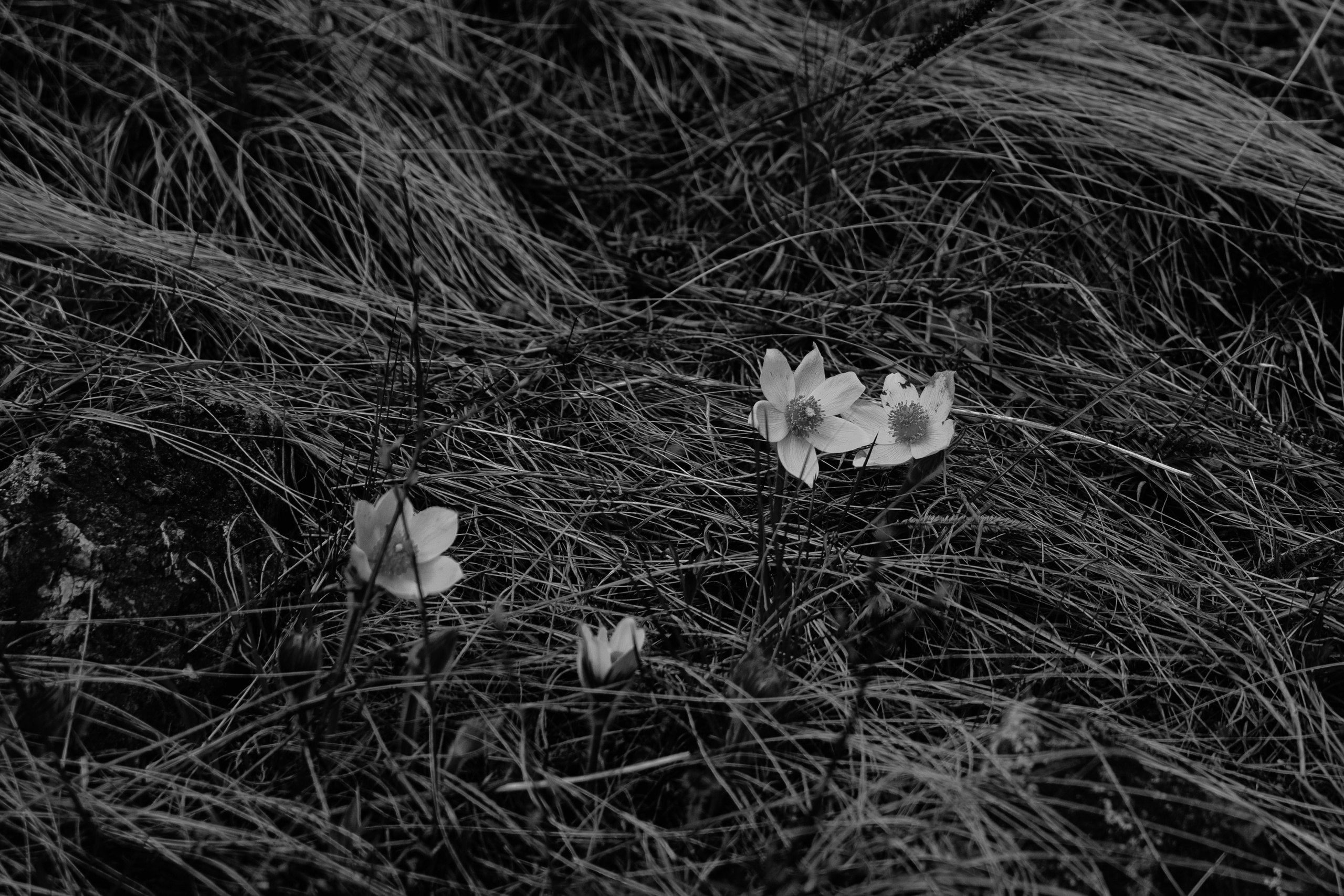 Красноярск. Портретный и уличный фотограф в Москве Таня Корнеева
