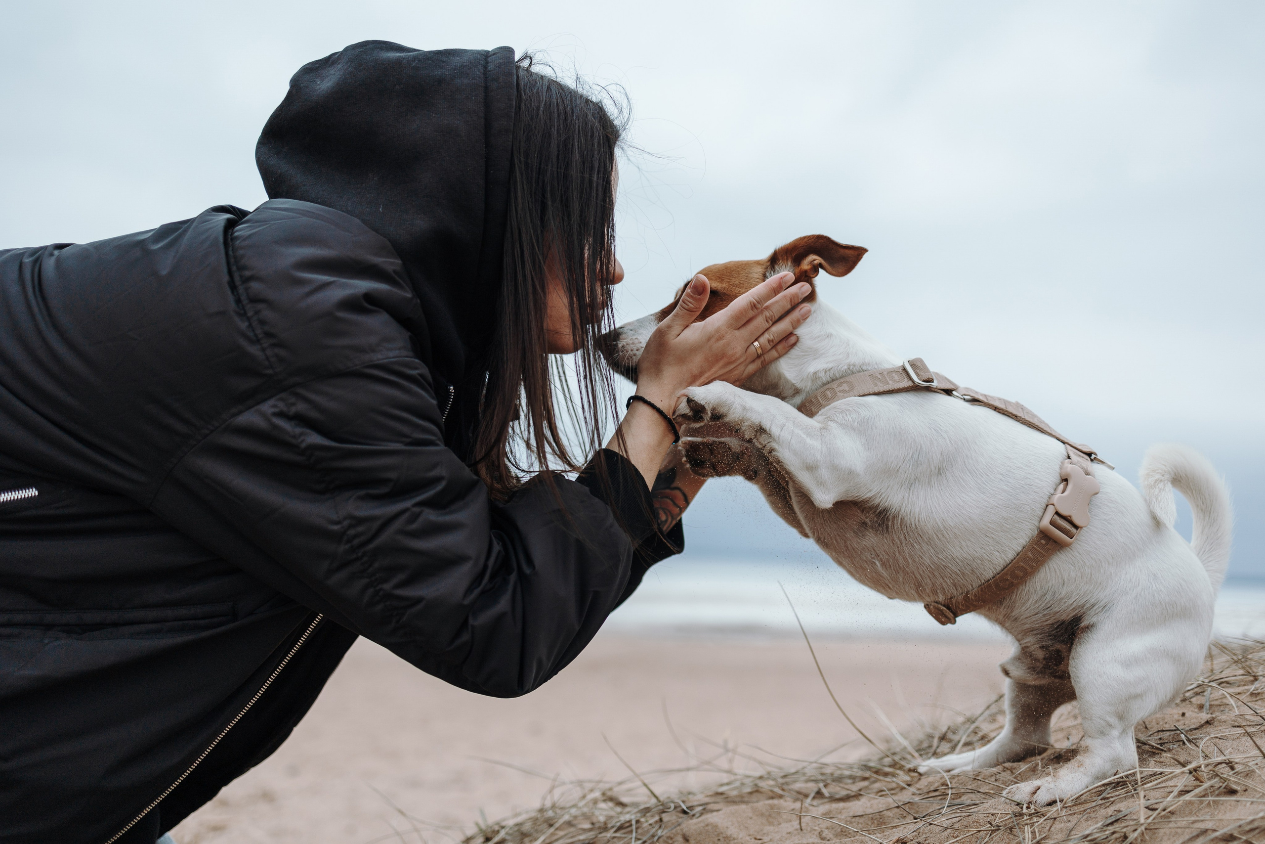 Саша и Джеки. Фотограф — Анималист | Санкт-Петербург