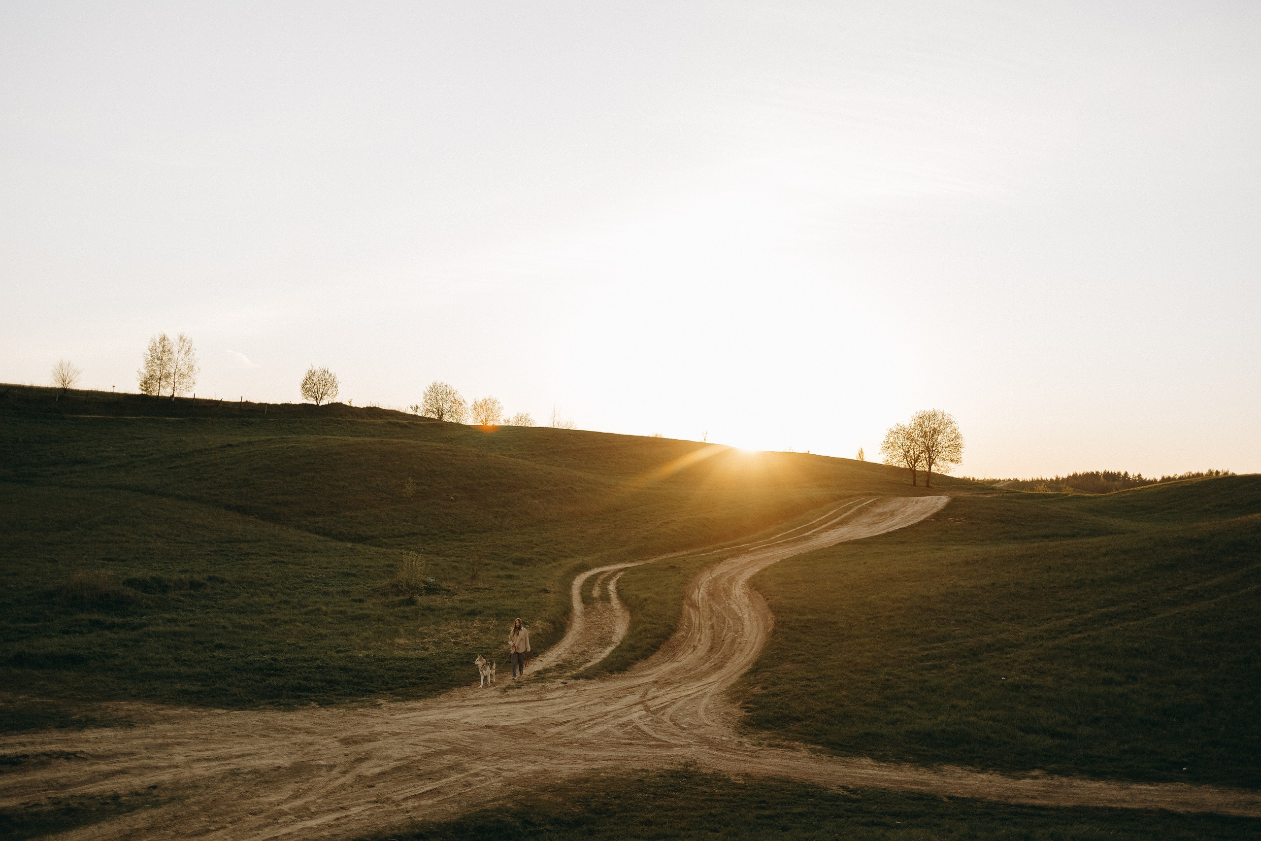 Саша и Зельда. Фотограф — Анималист | Санкт-Петербург