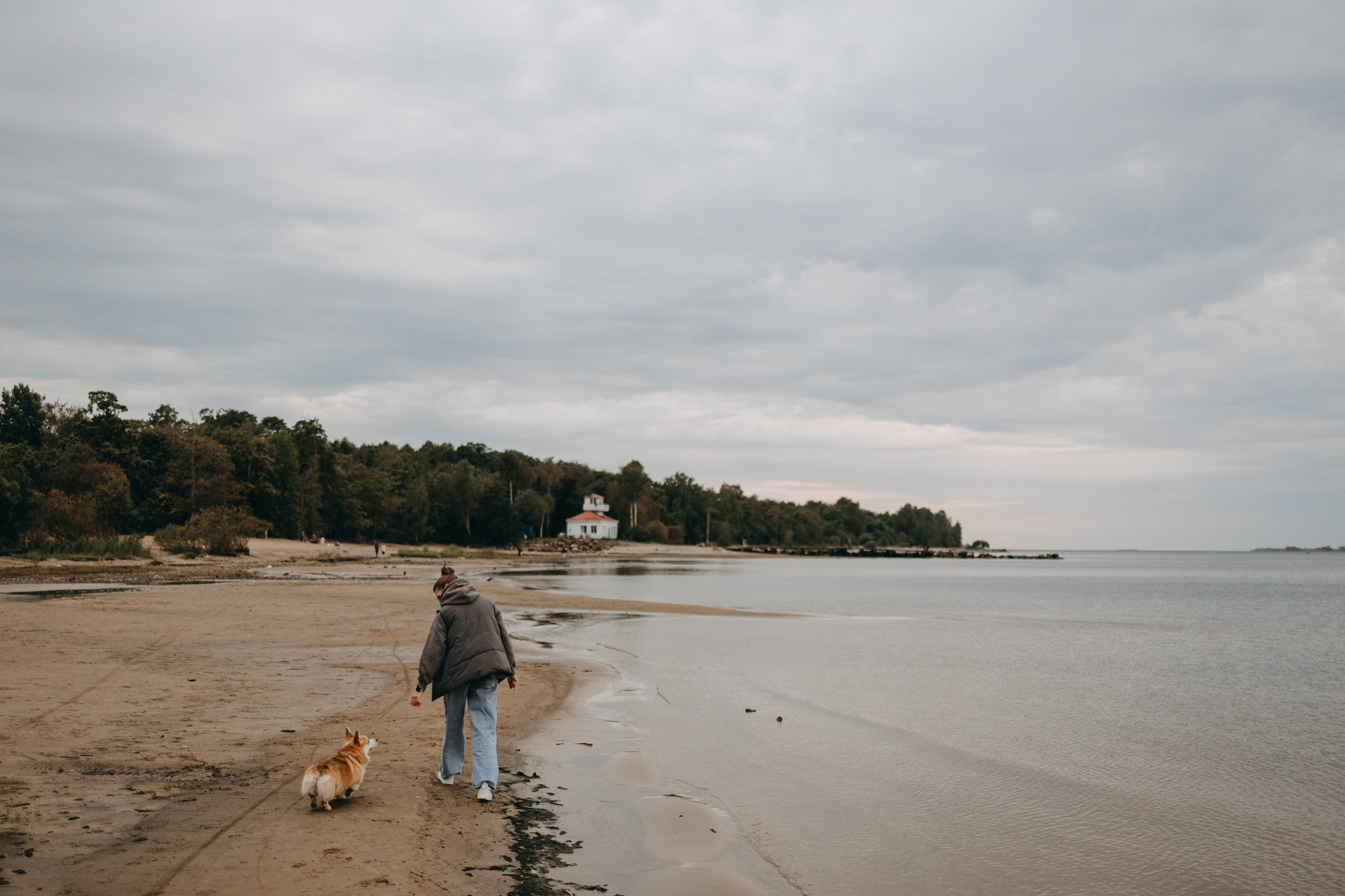 Лиза и Бакс. Фотограф — Анималист | Санкт-Петербург