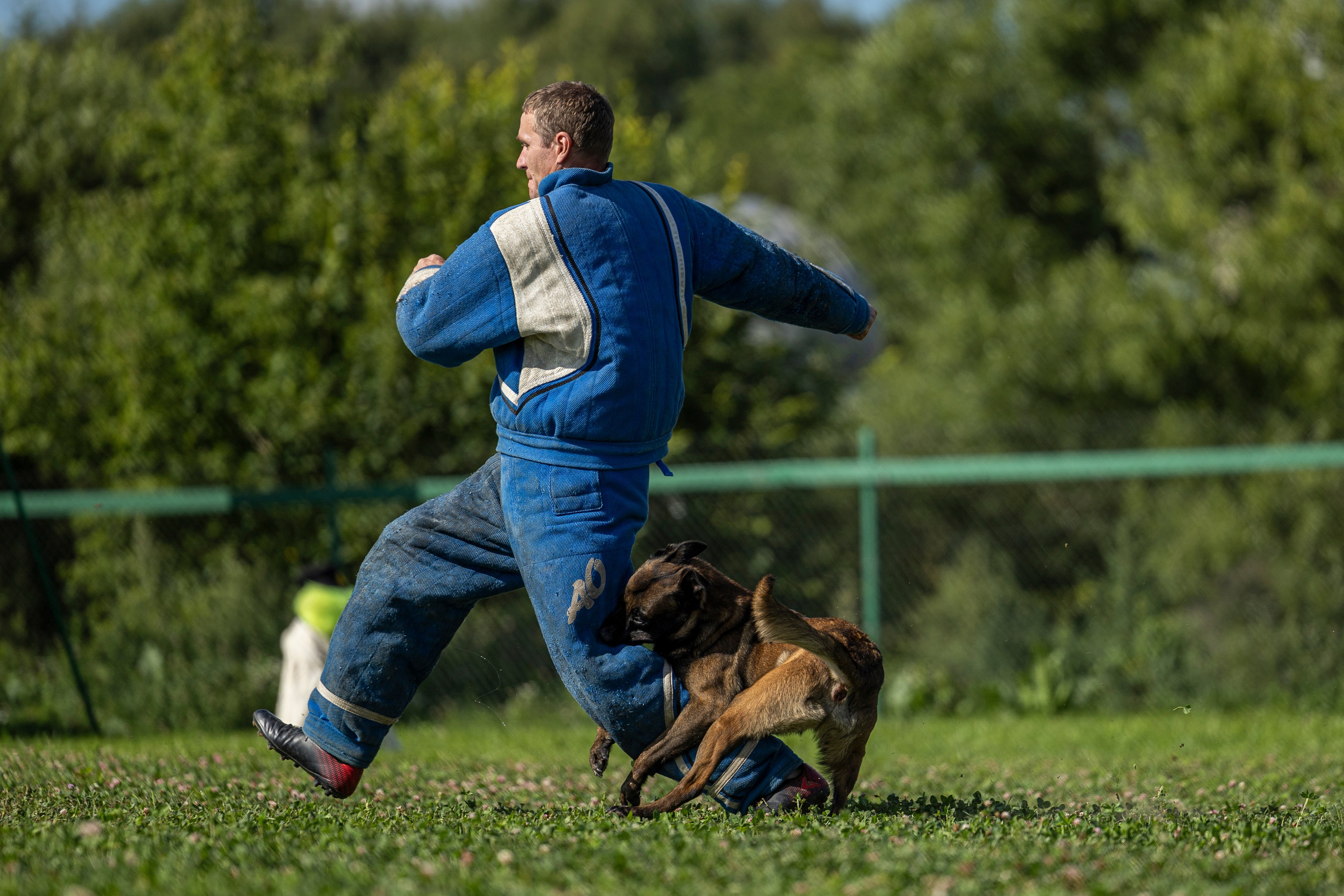 Соревнования по Мондьорингу г. Вологда 10-11.08.2024. Фотограф-анималист Анна Маринич