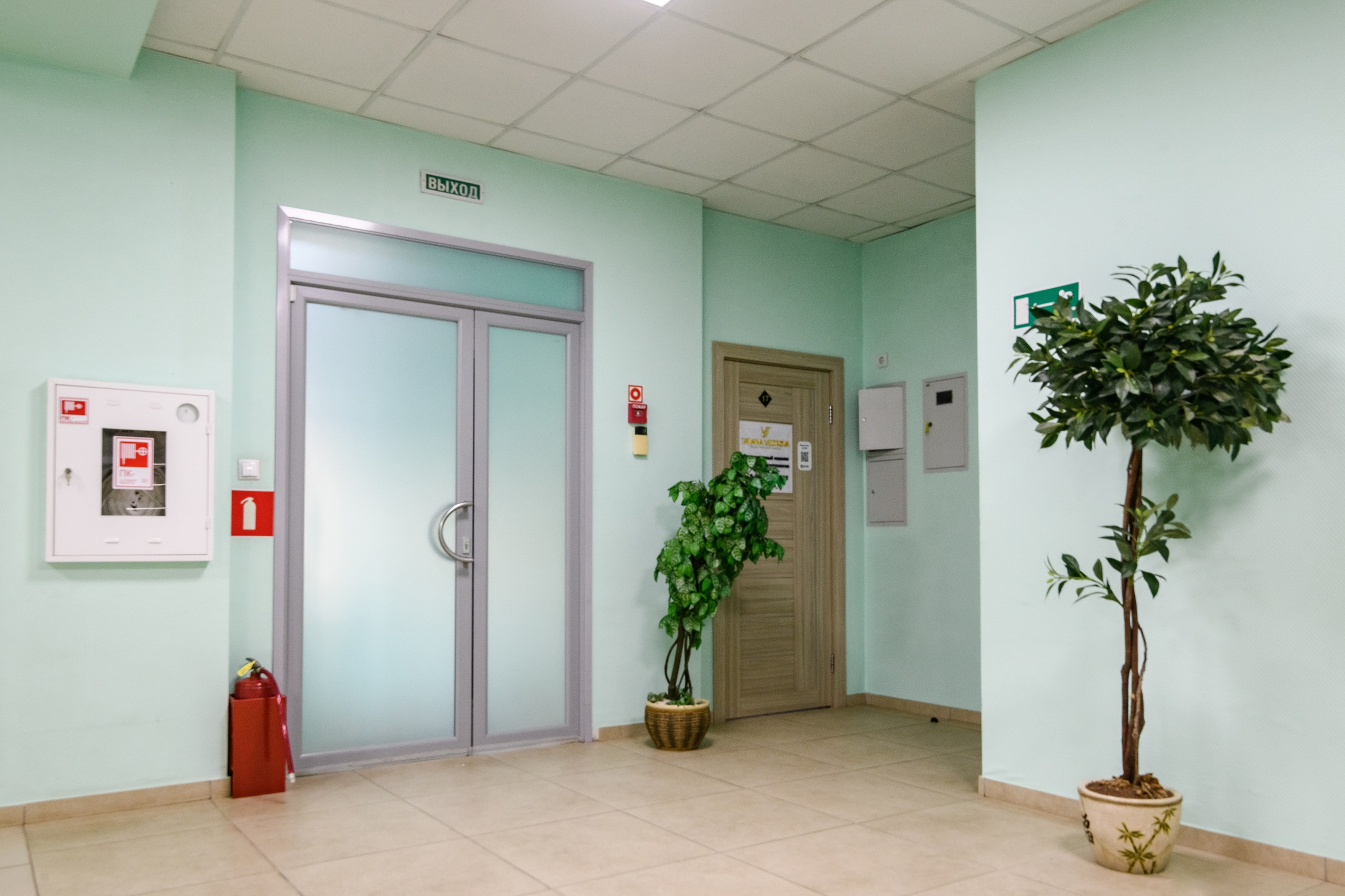 Интерьерная. Аренда коммерческого помещения. Женский фотограф в Санкт-Петербурге Степлевич Дарья