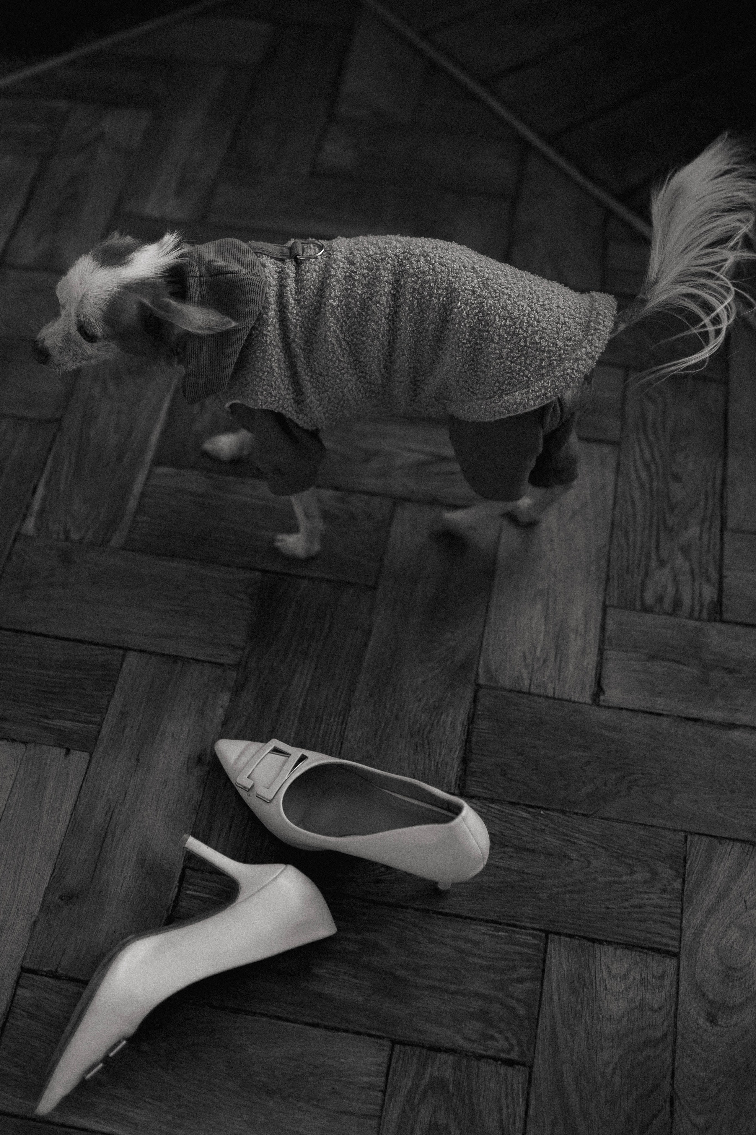 Таня и Коля. Главная