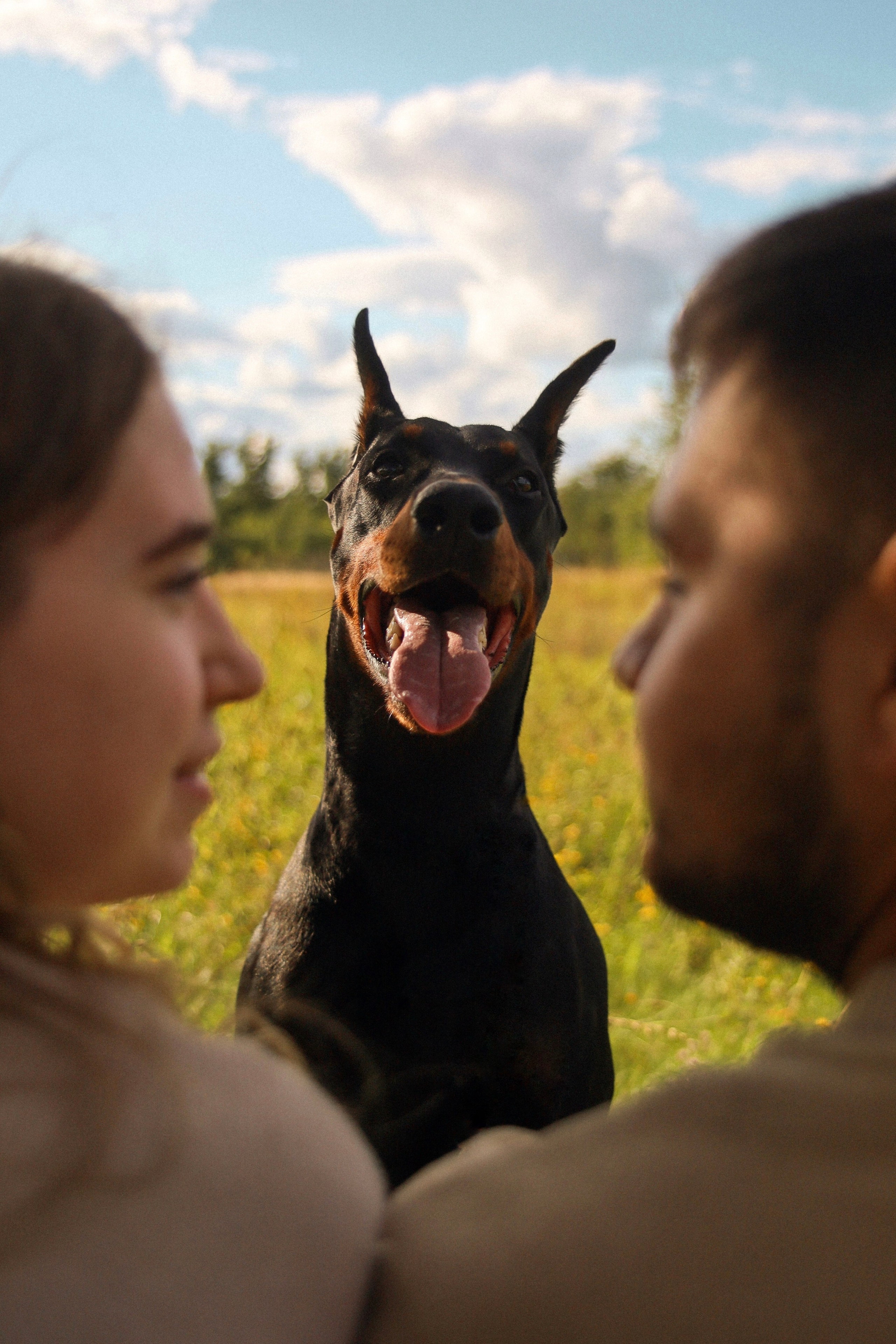 С собаками. Фотограф в Серпухове и Тарусе Ксения Царёва