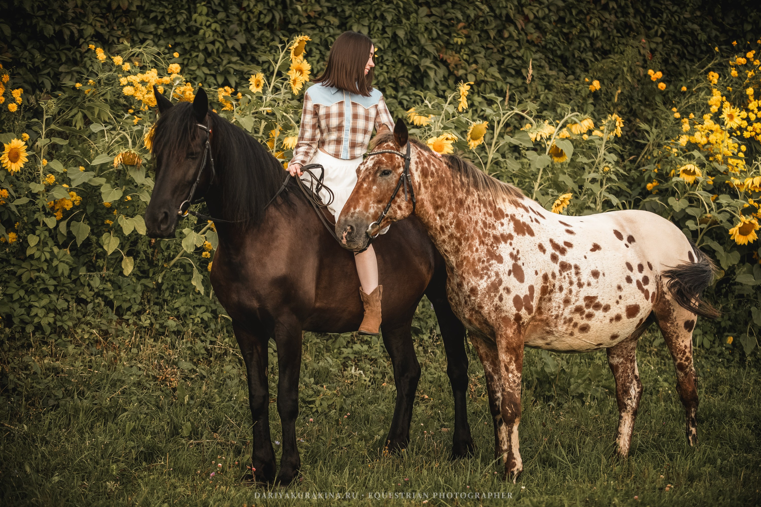 Алиса — Аванпост. Конный фотограф Куракина Дарья • Фотосессии с лошадьми