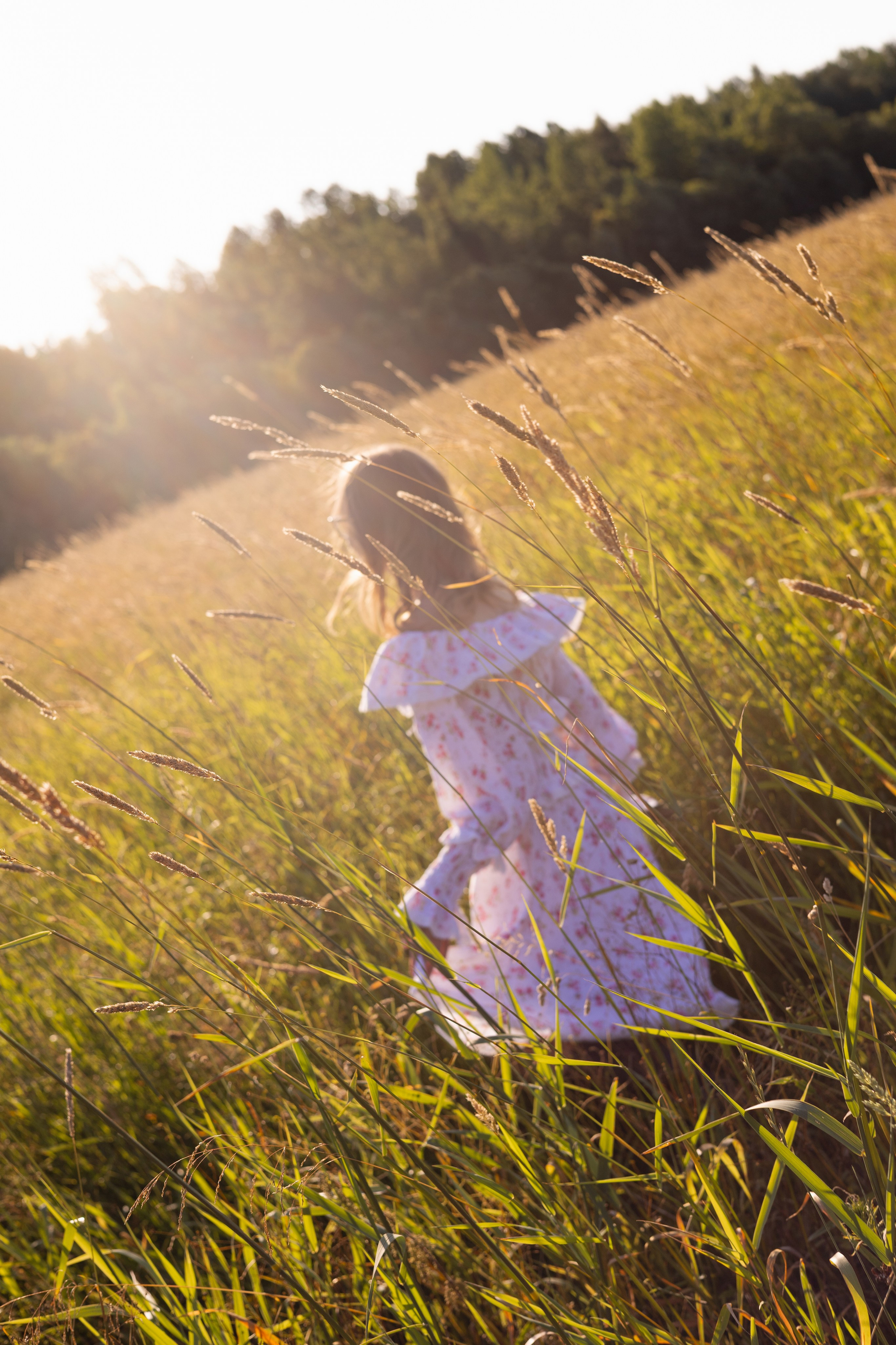 На закате.). Портретный, семейный фотограф в Санкт-Петербурге и Ленинградской области Виктория Соловьёва