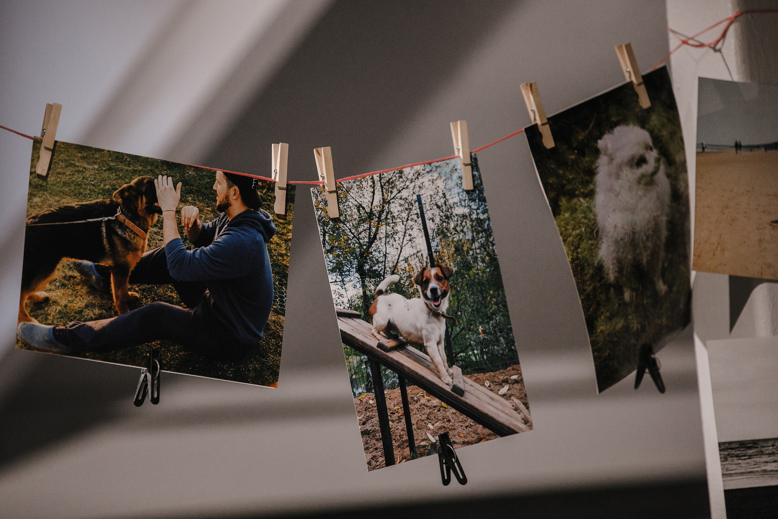 17.10.2021 // Дог-френдли день в Артплей. Фотовыставки serebro.gallery, в которых автором можешь стать ты! | Москва