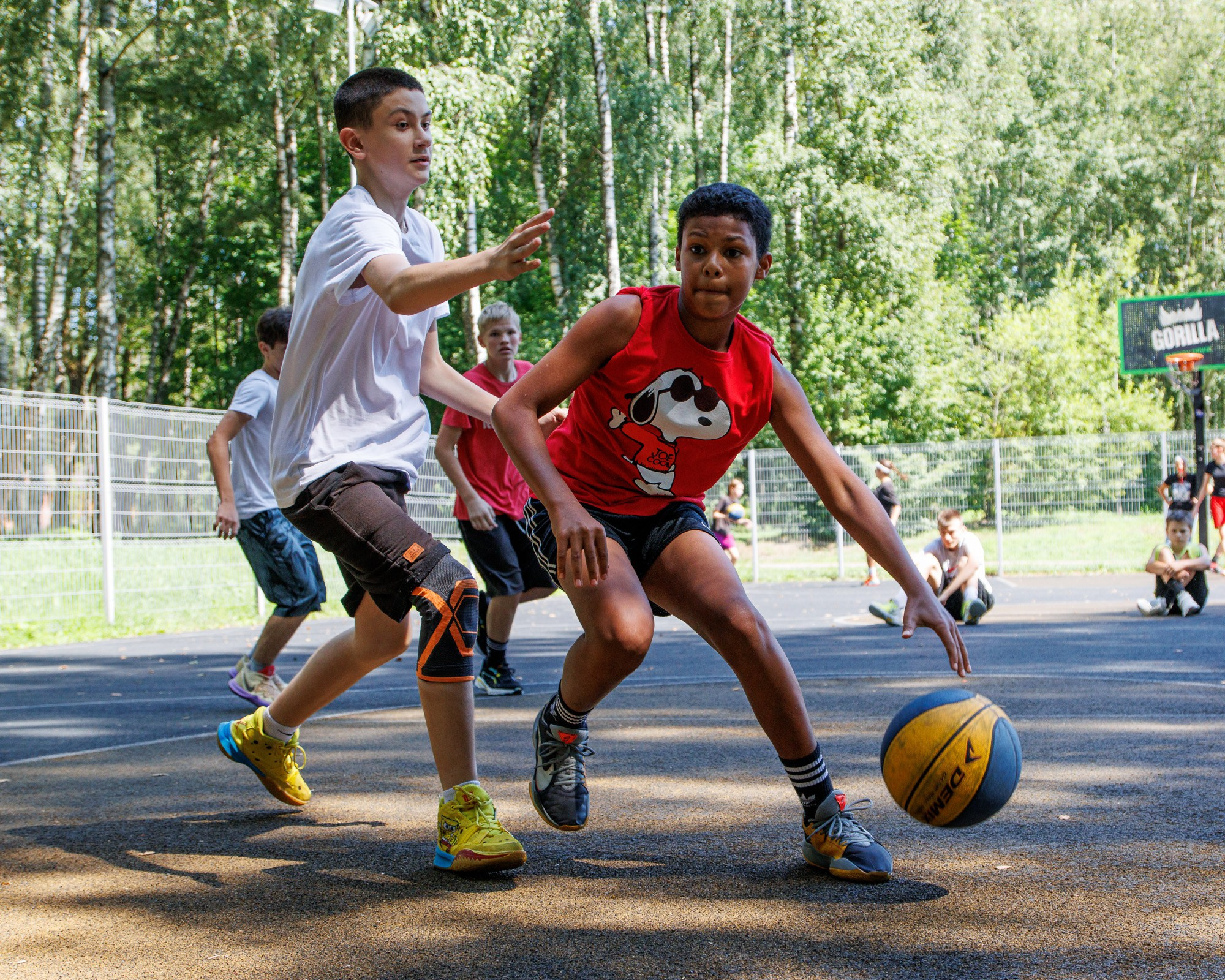 Соловьиное лето 2024. Спортивный фотограф Вадим Добедченков