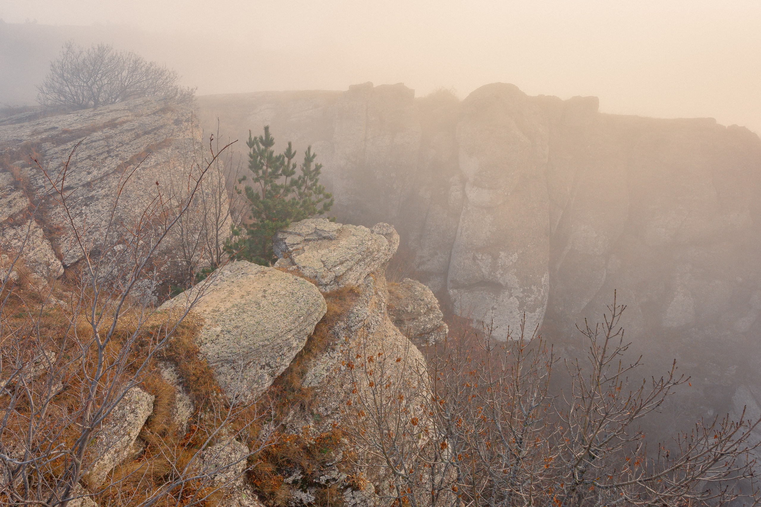 Пейзажная фотография. Фотошкола ArtFotoLife для начинающих и продвинутых фотографов