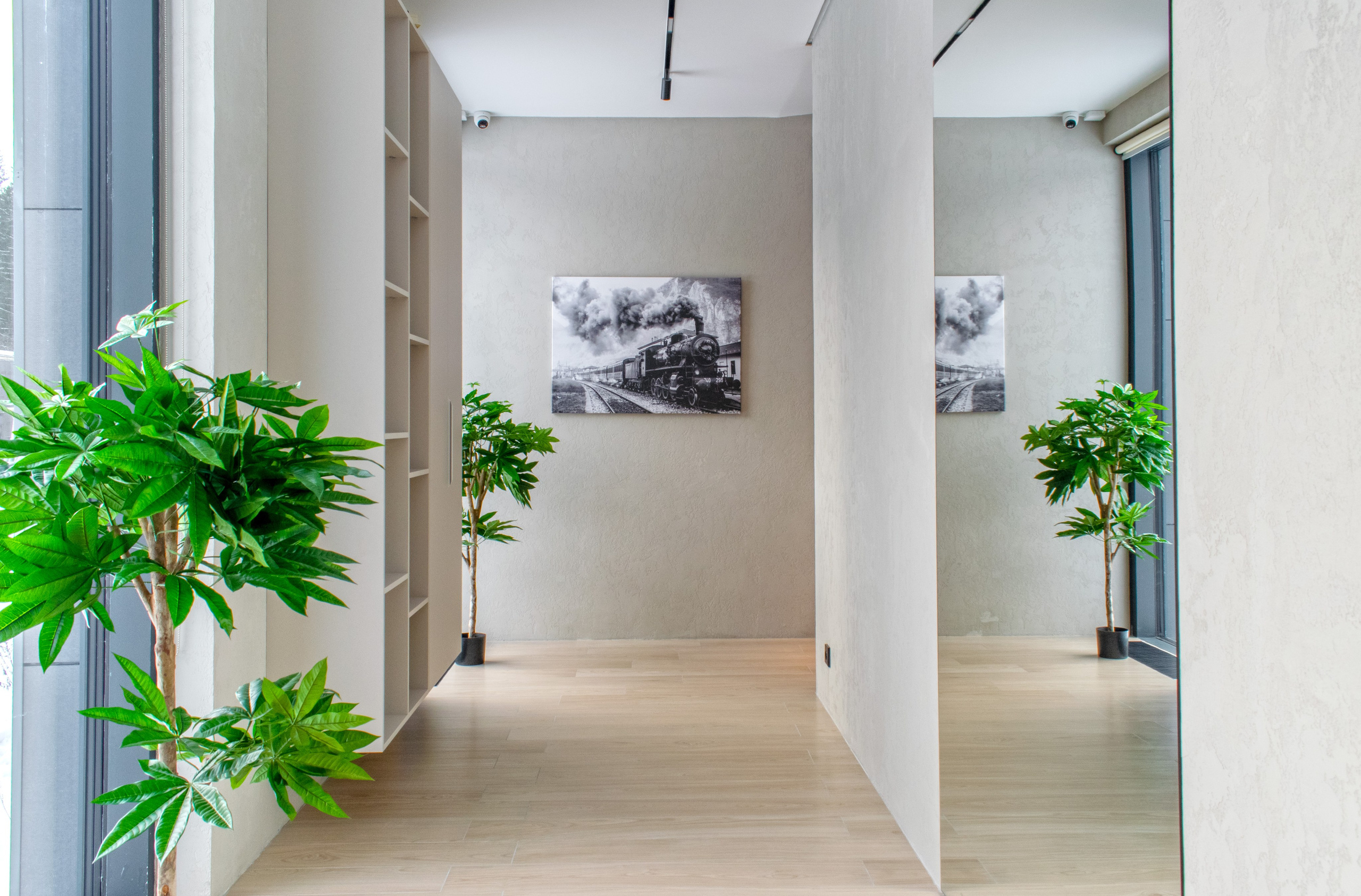Интерьер гостевого дома в Карелии в Сортавальском районе. Фотосъемка коридора с зеркалом, декорированного пальмой и картиной.