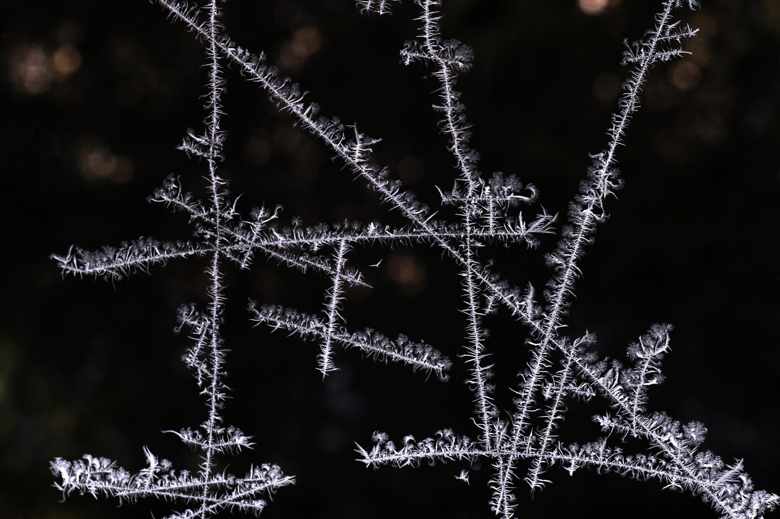 5. Вадим Шейдин