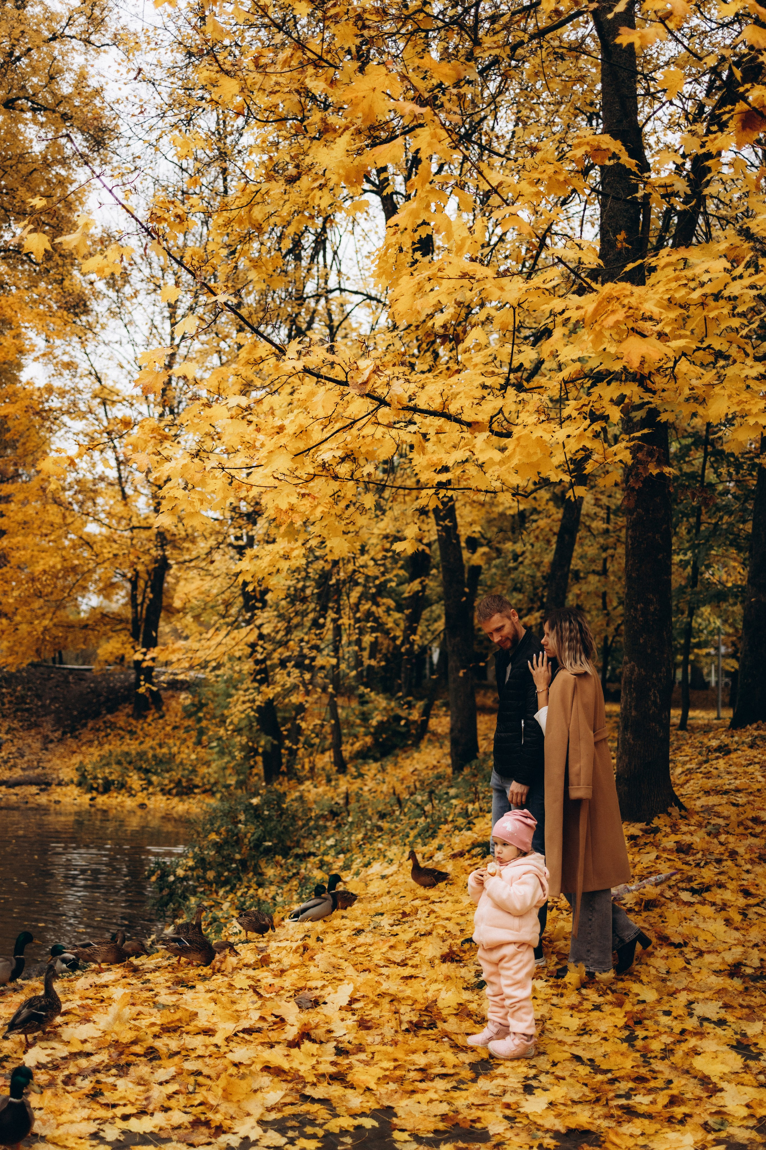 Осенняя семейная фотосъемка (11.10.2025 г.) г. Обнинск (Калужская обл.). Надежда Стар семейный и церковный фотограф в Жукове и Калужской области