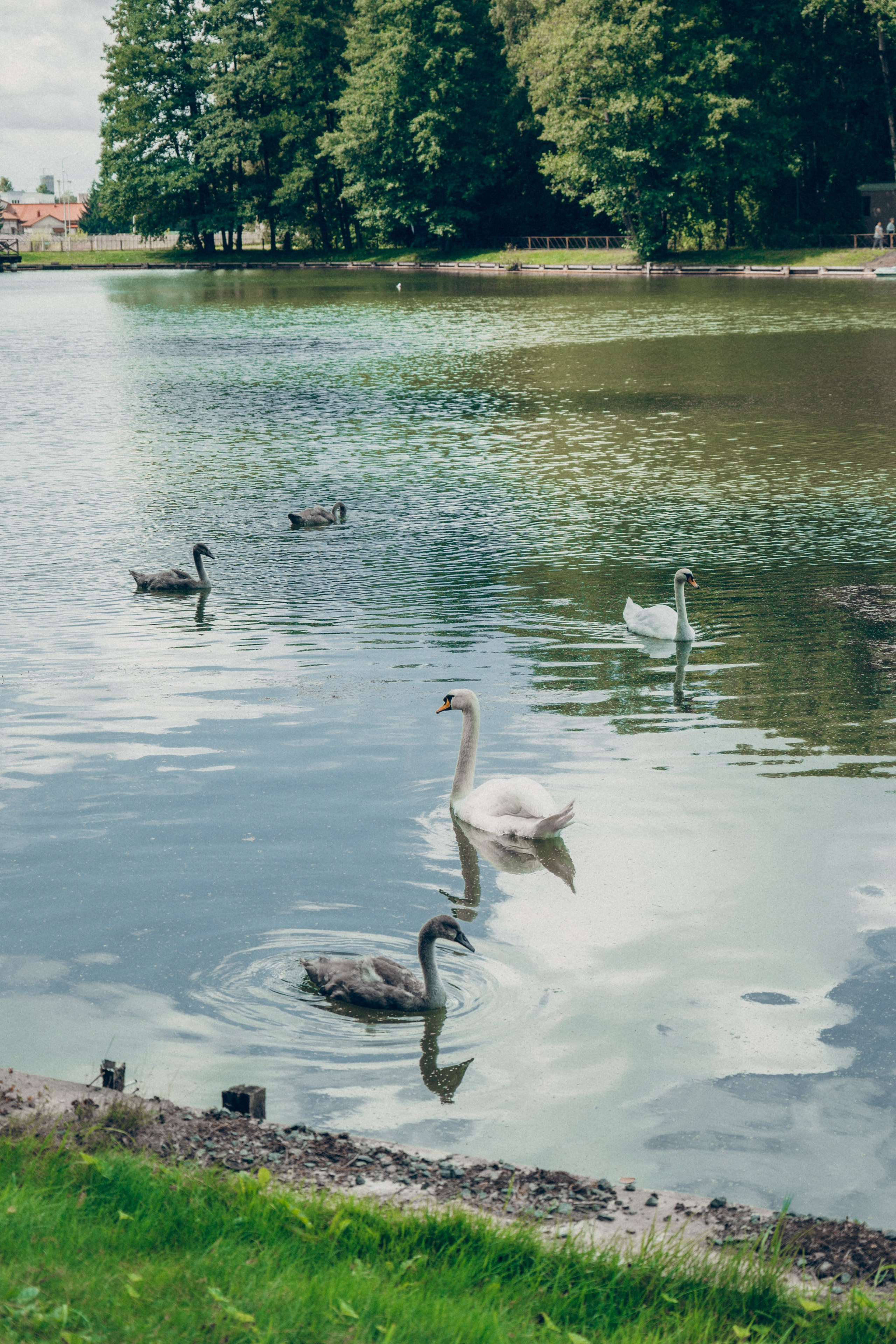 Прогулка в ботаническом саду