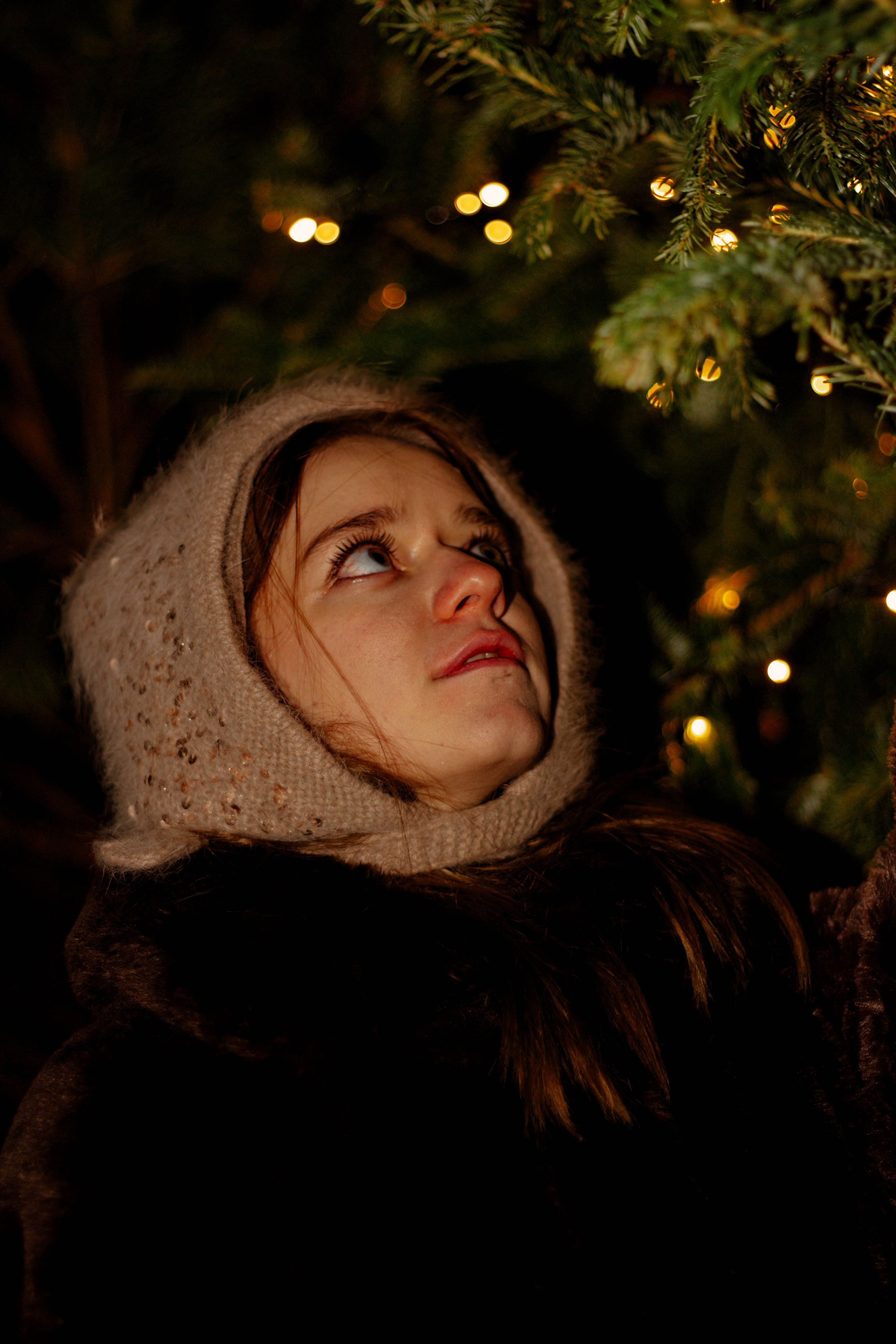 Новогодняя фотоссесия Екатерины. Ладно