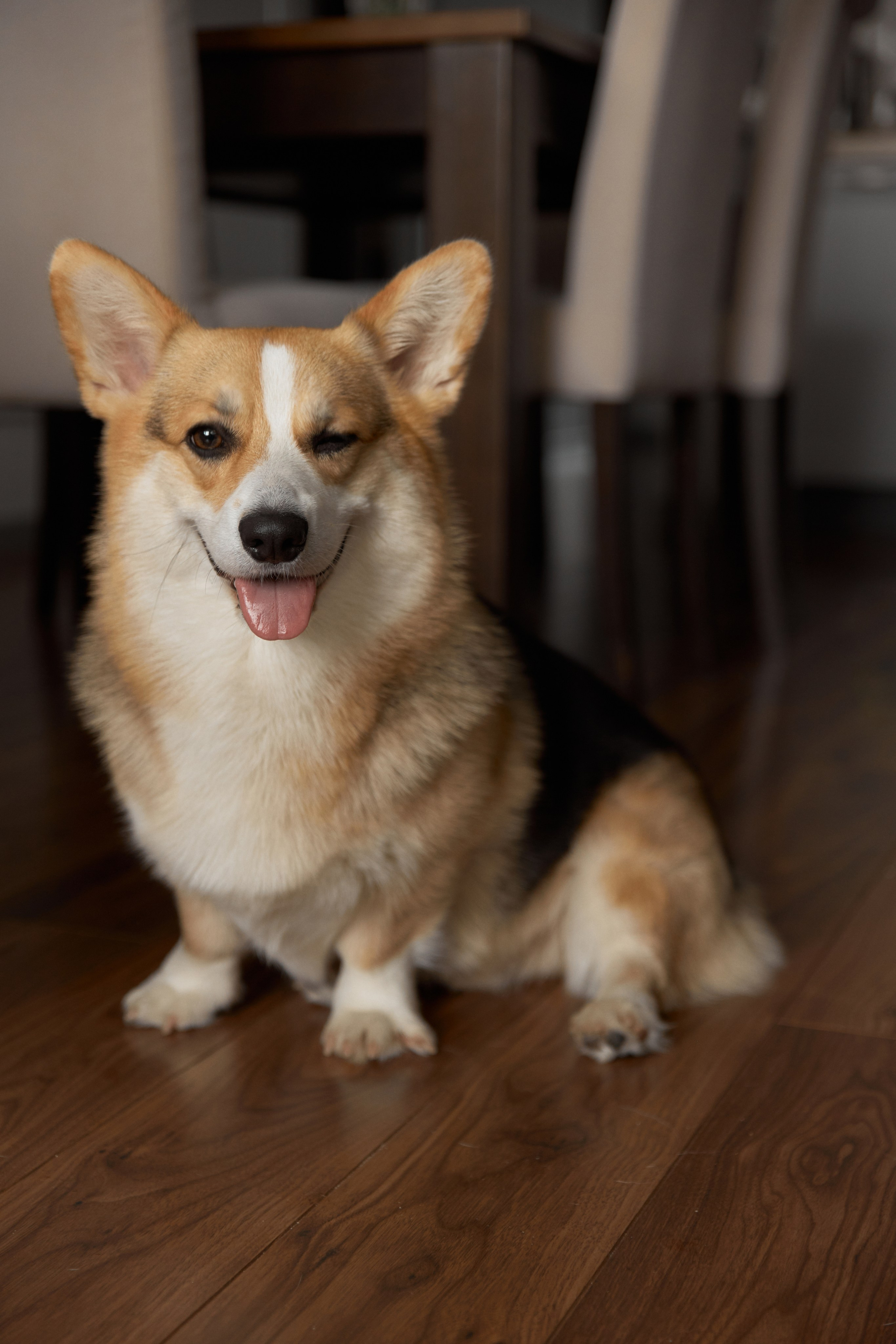 Семейная фотосессия дома. Brand и контент фотограф