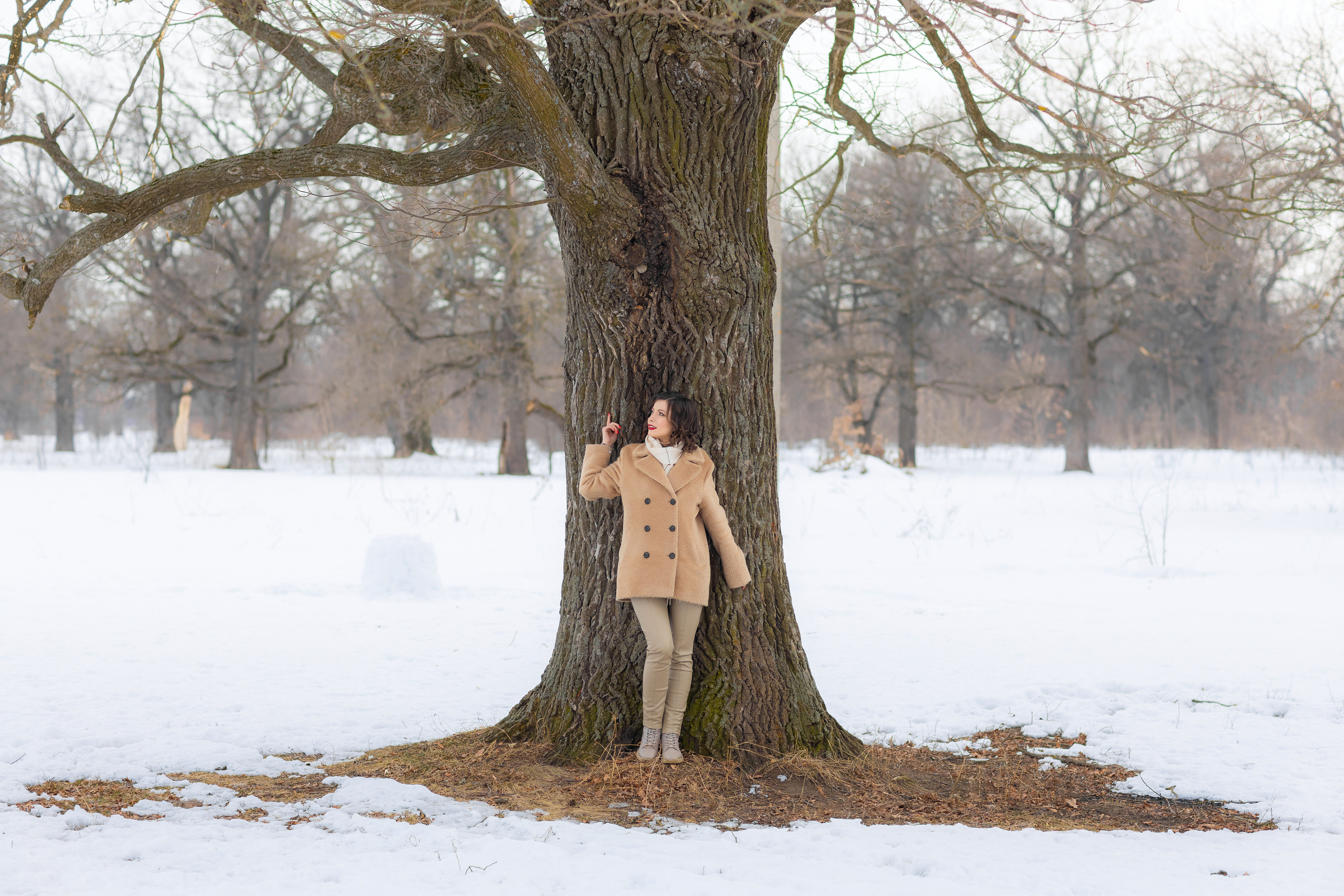 Зимнее. Фотограф Павел Шрайбикус