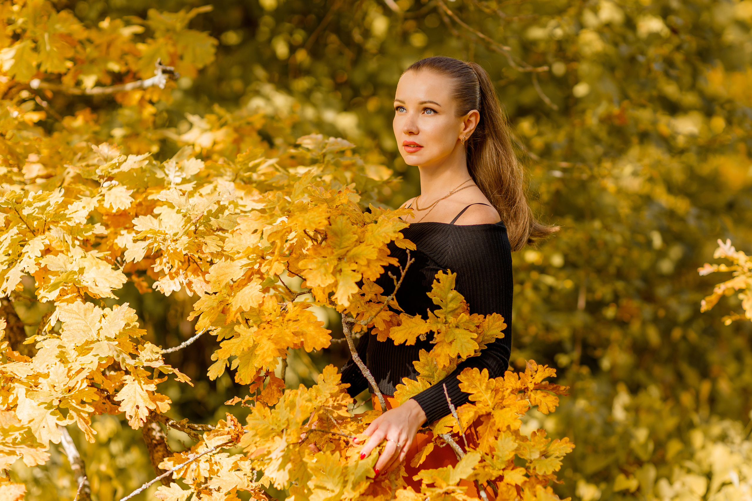 Теплое осеннее утро. Фотограф Павел Шрайбикус