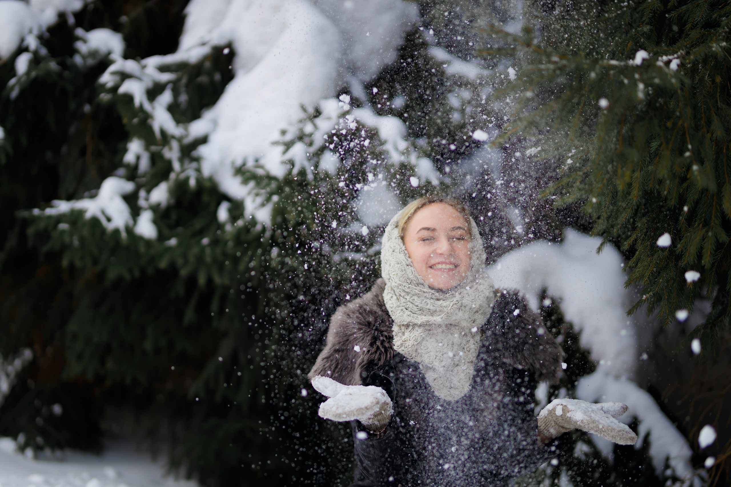 Елки. Фотограф Павел Шрайбикус