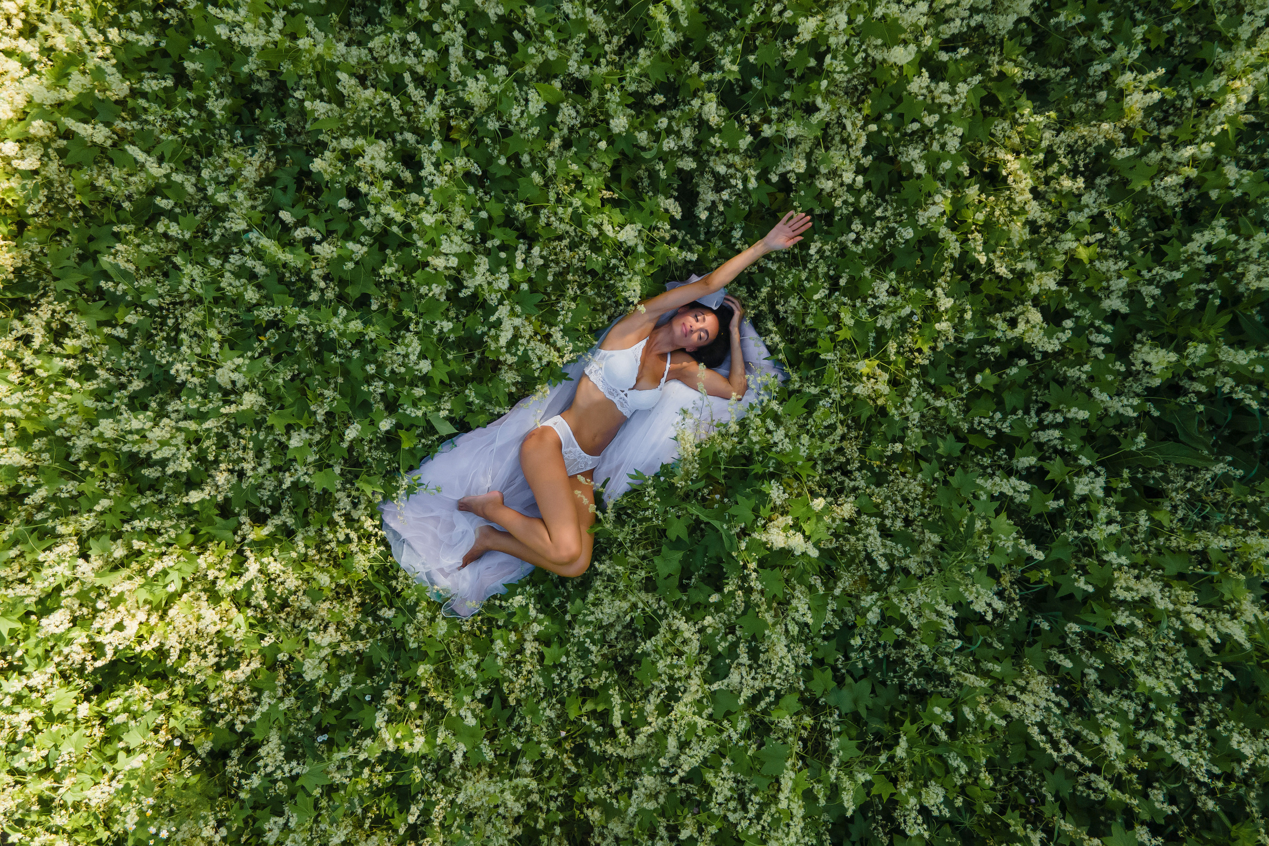 Аромат. Фотограф Павел Шрайбикус