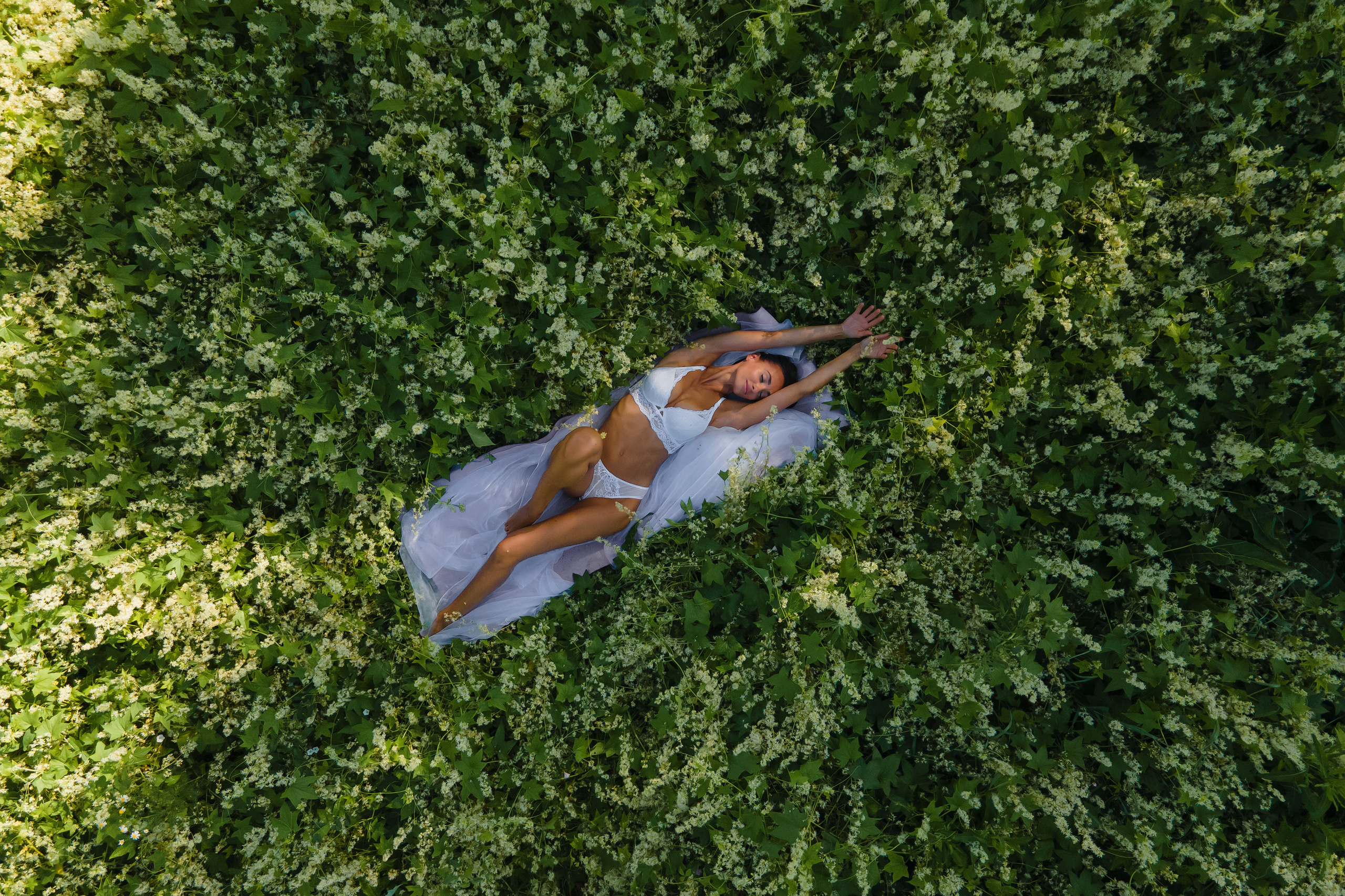 Аромат. Фотограф Павел Шрайбикус