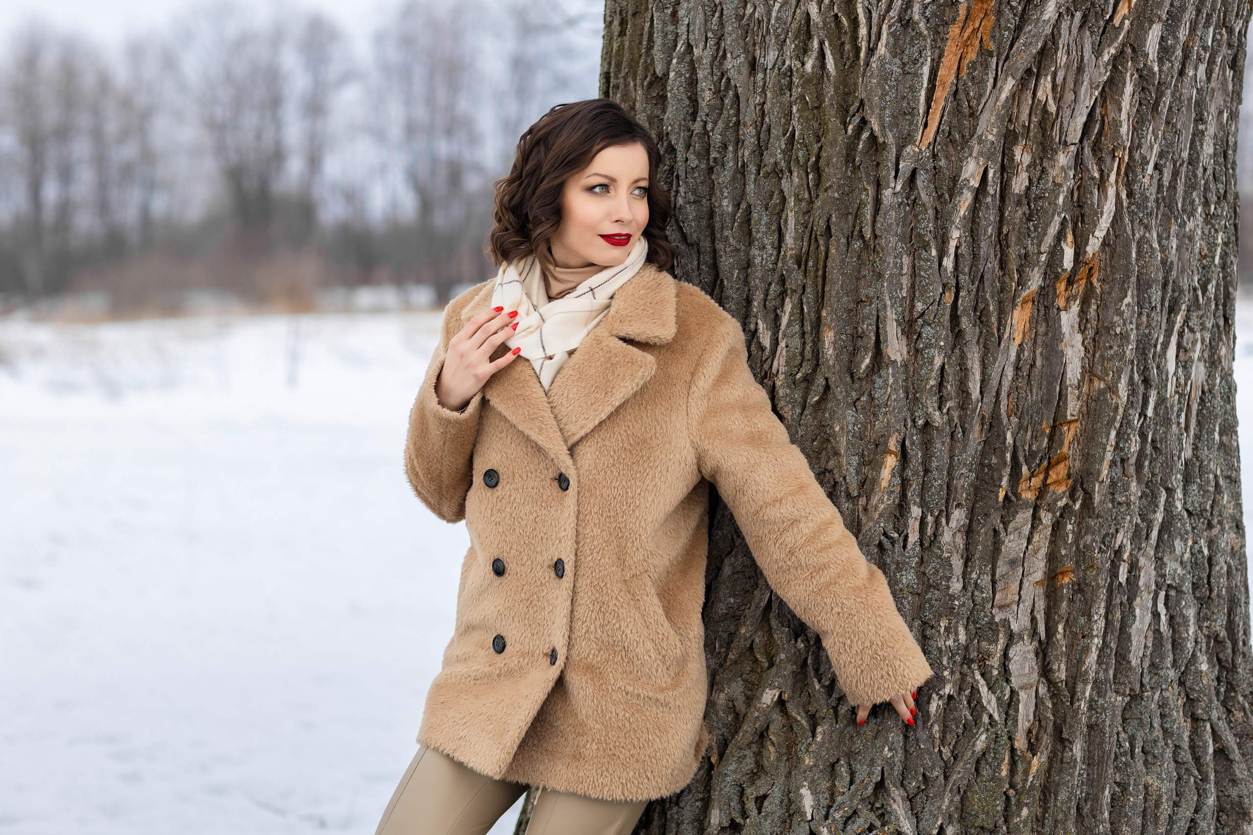 Зимнее. Фотограф Павел Шрайбикус