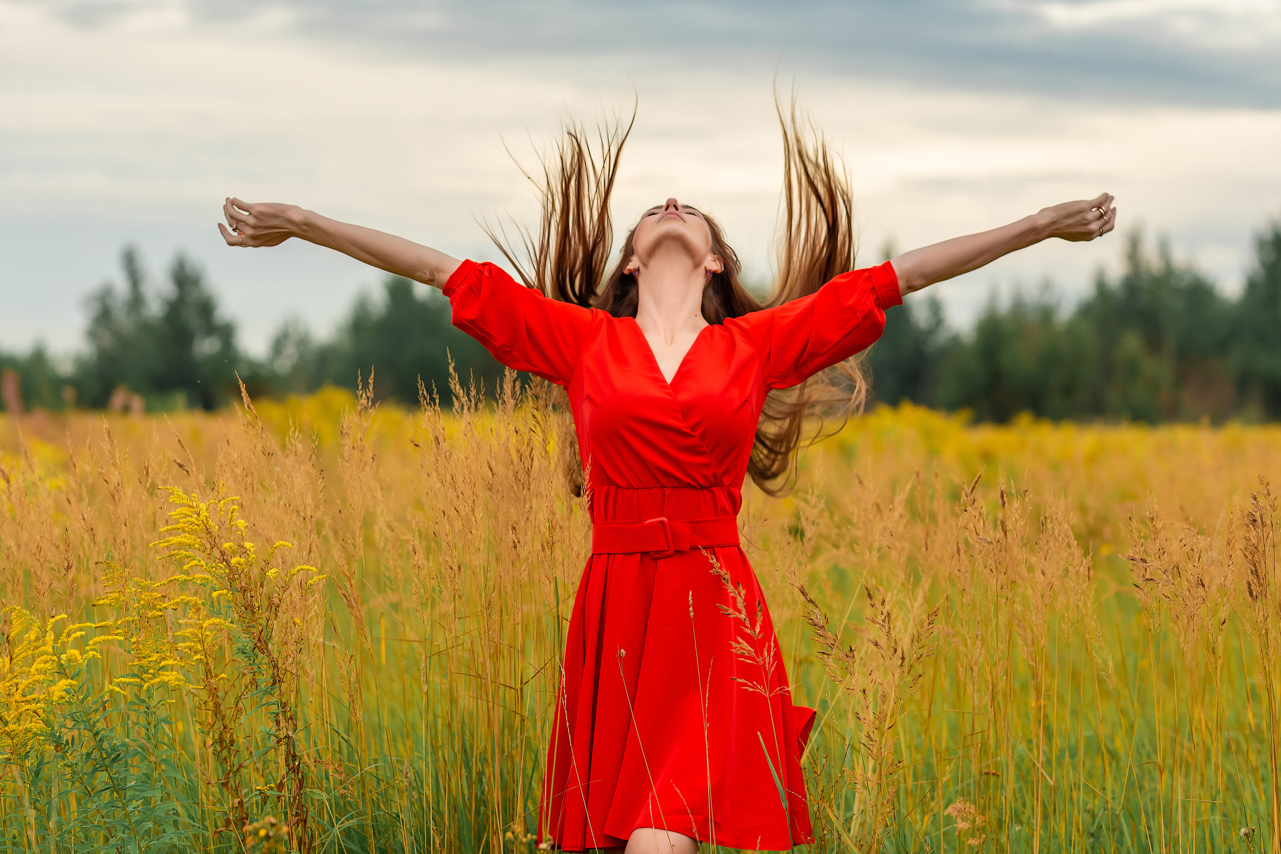 Луга. Фотограф Павел Шрайбикус