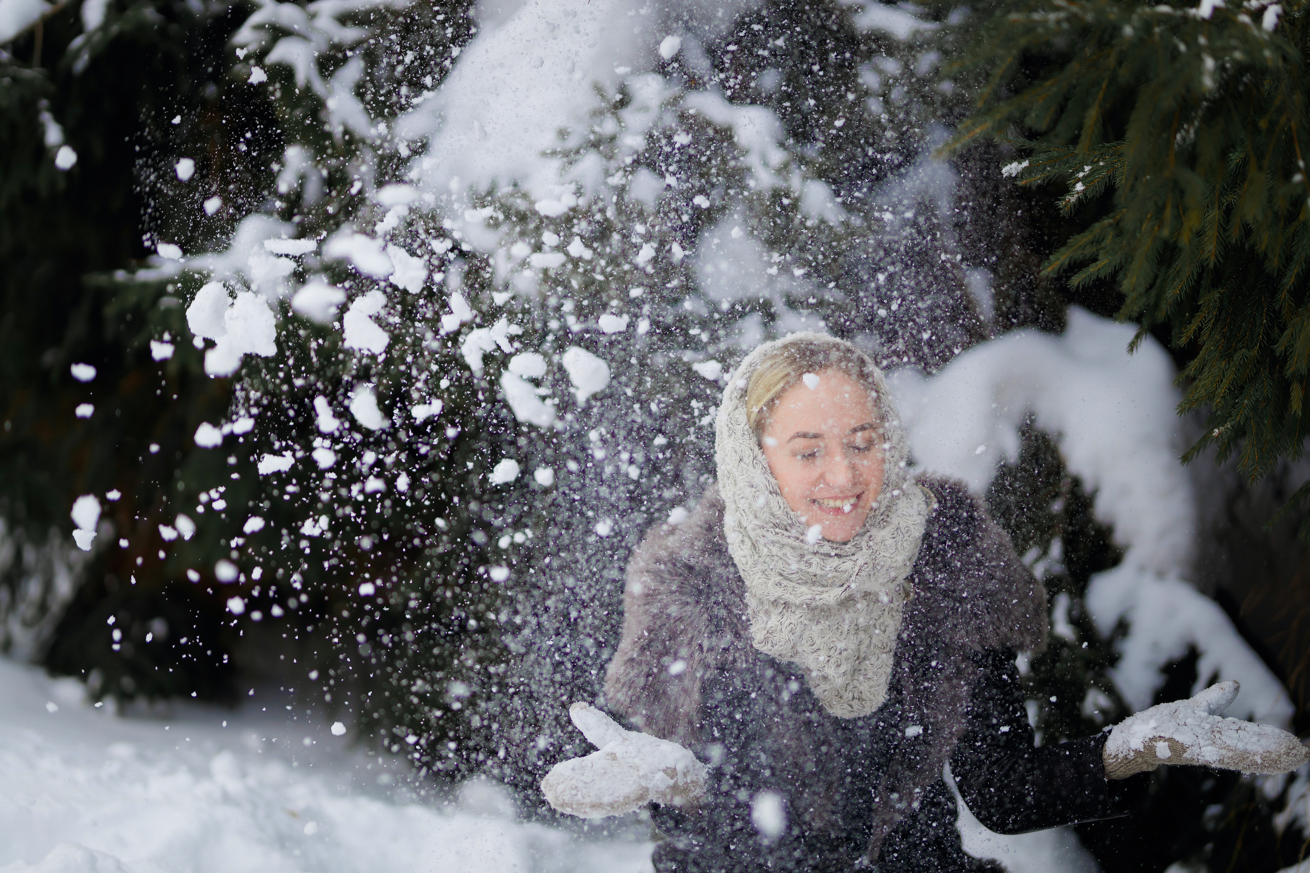 Елки. Фотограф Павел Шрайбикус