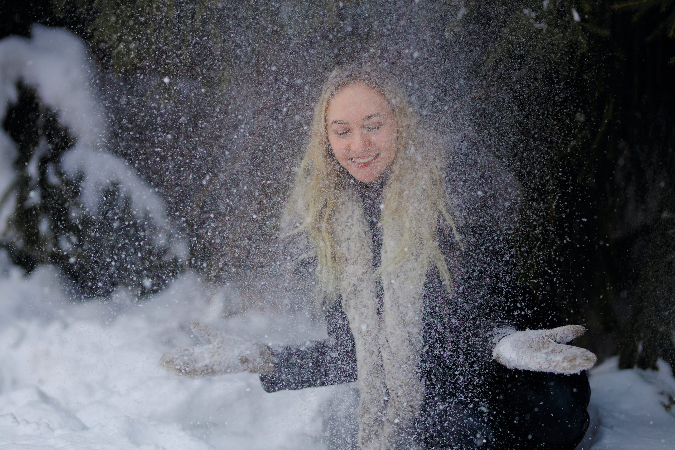 Елки. Фотограф Павел Шрайбикус