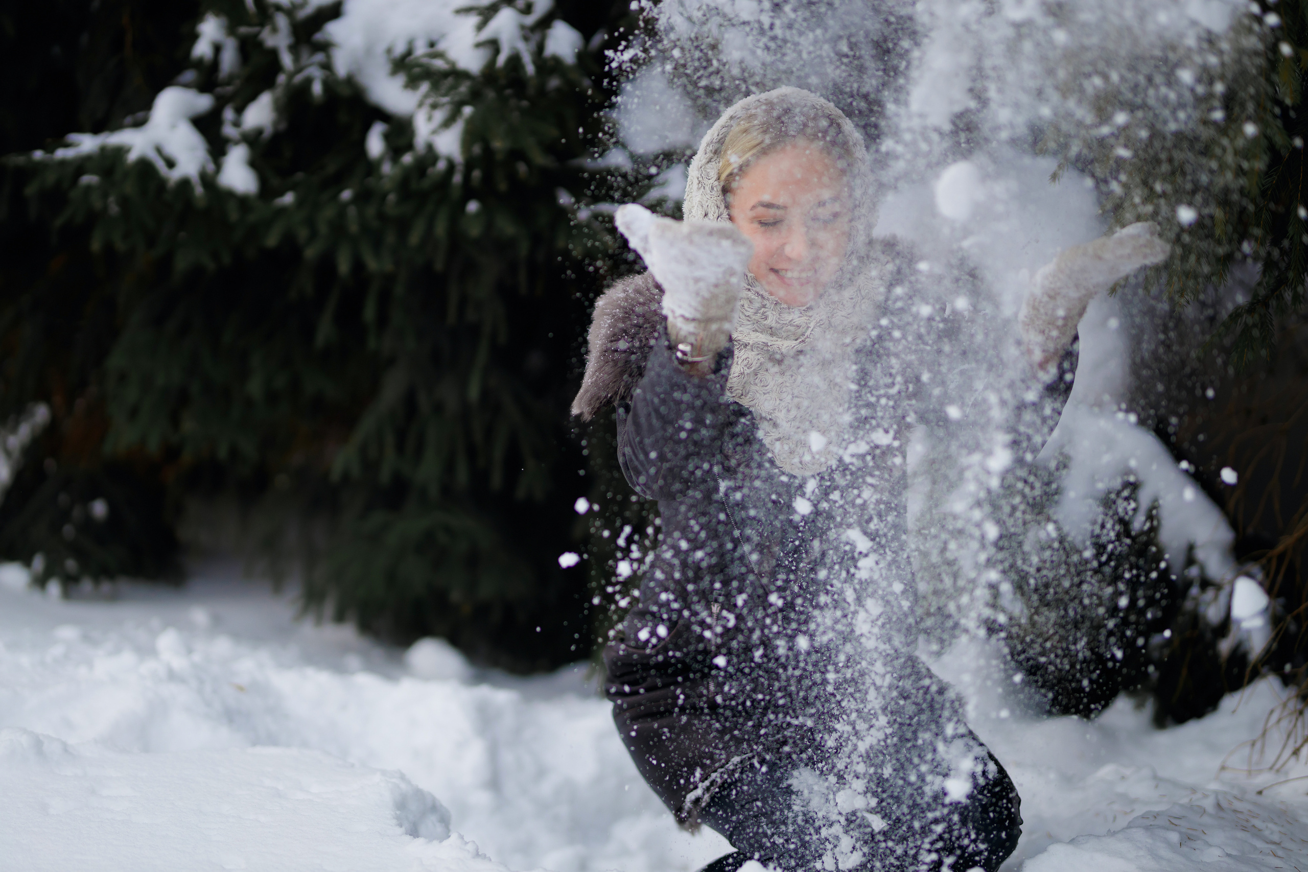 Елки. Фотограф Павел Шрайбикус
