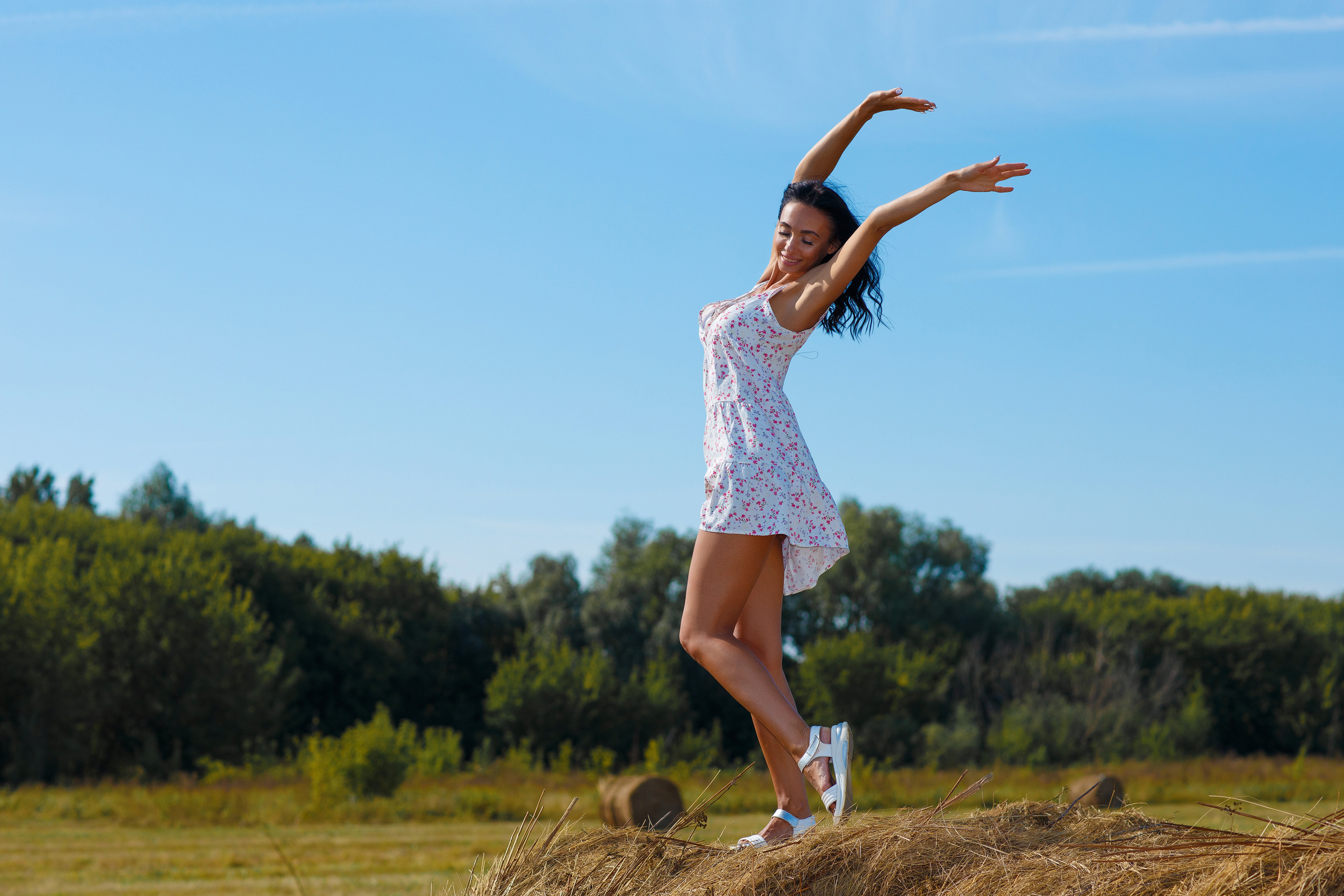 Сено. Фотограф Павел Шрайбикус