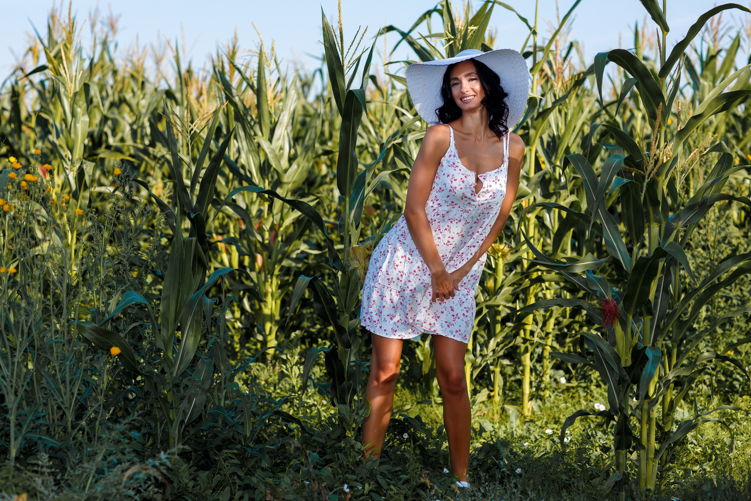 Кукуруза. Фотограф Павел Шрайбикус