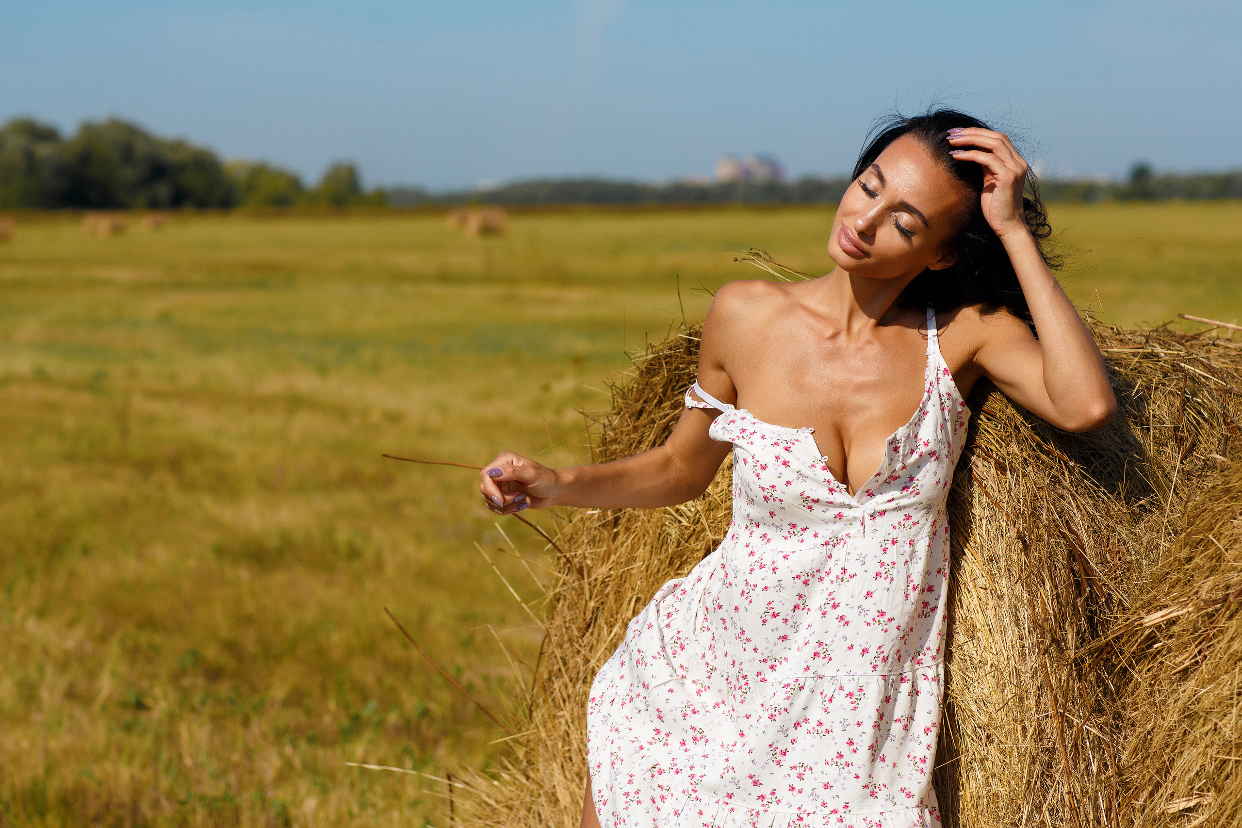 Сено. Фотограф Павел Шрайбикус