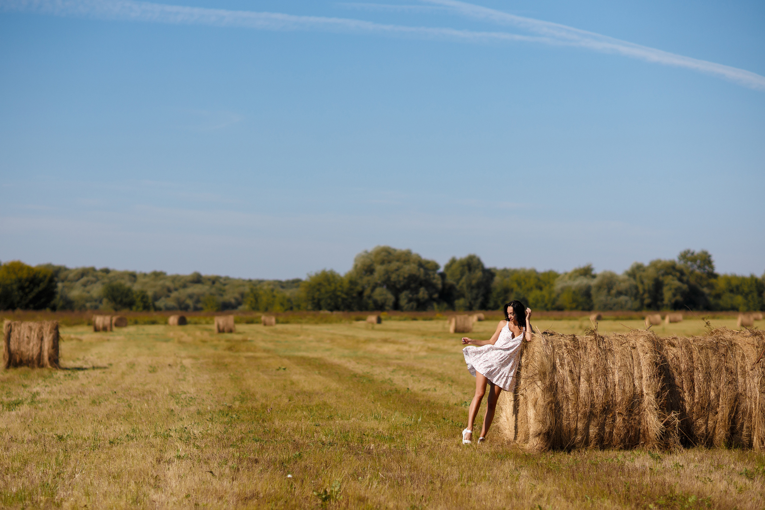 Сено. Фотограф Павел Шрайбикус