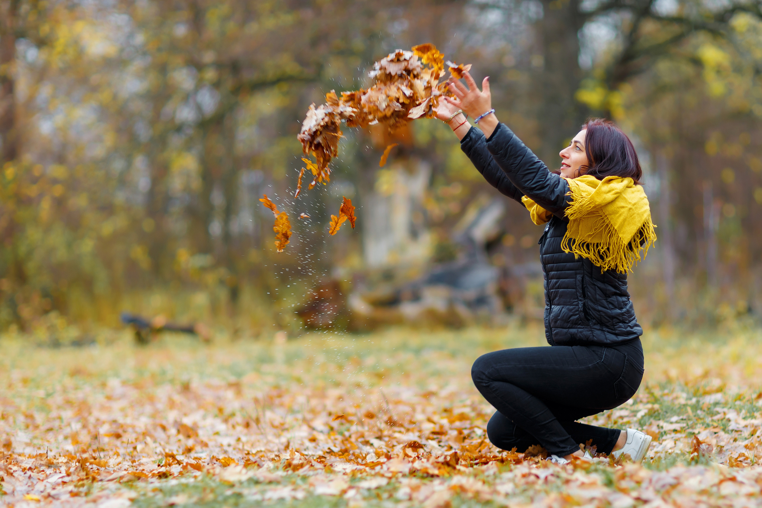 Осенние листья. Фотограф Павел Шрайбикус