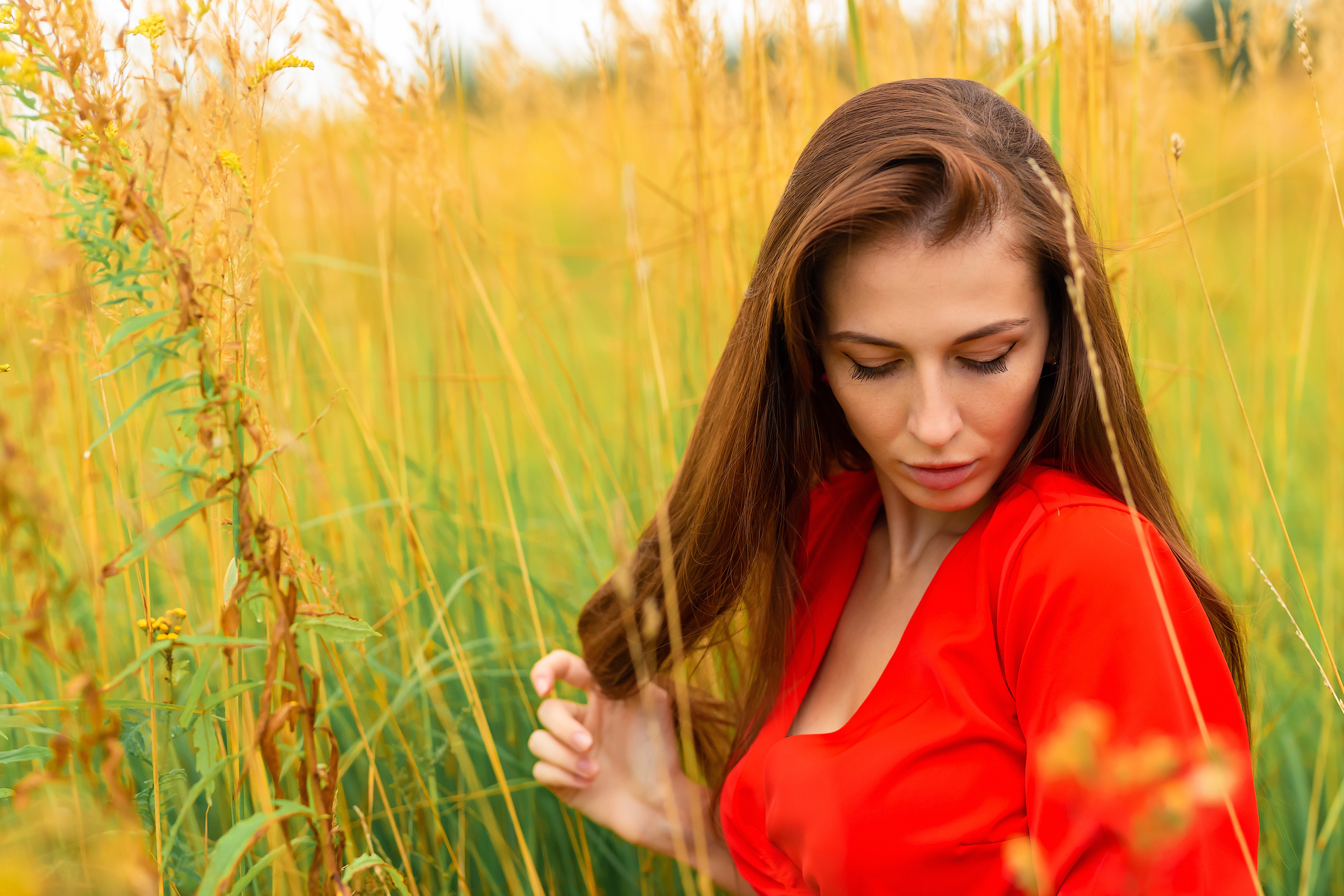 Луга. Фотограф Павел Шрайбикус
