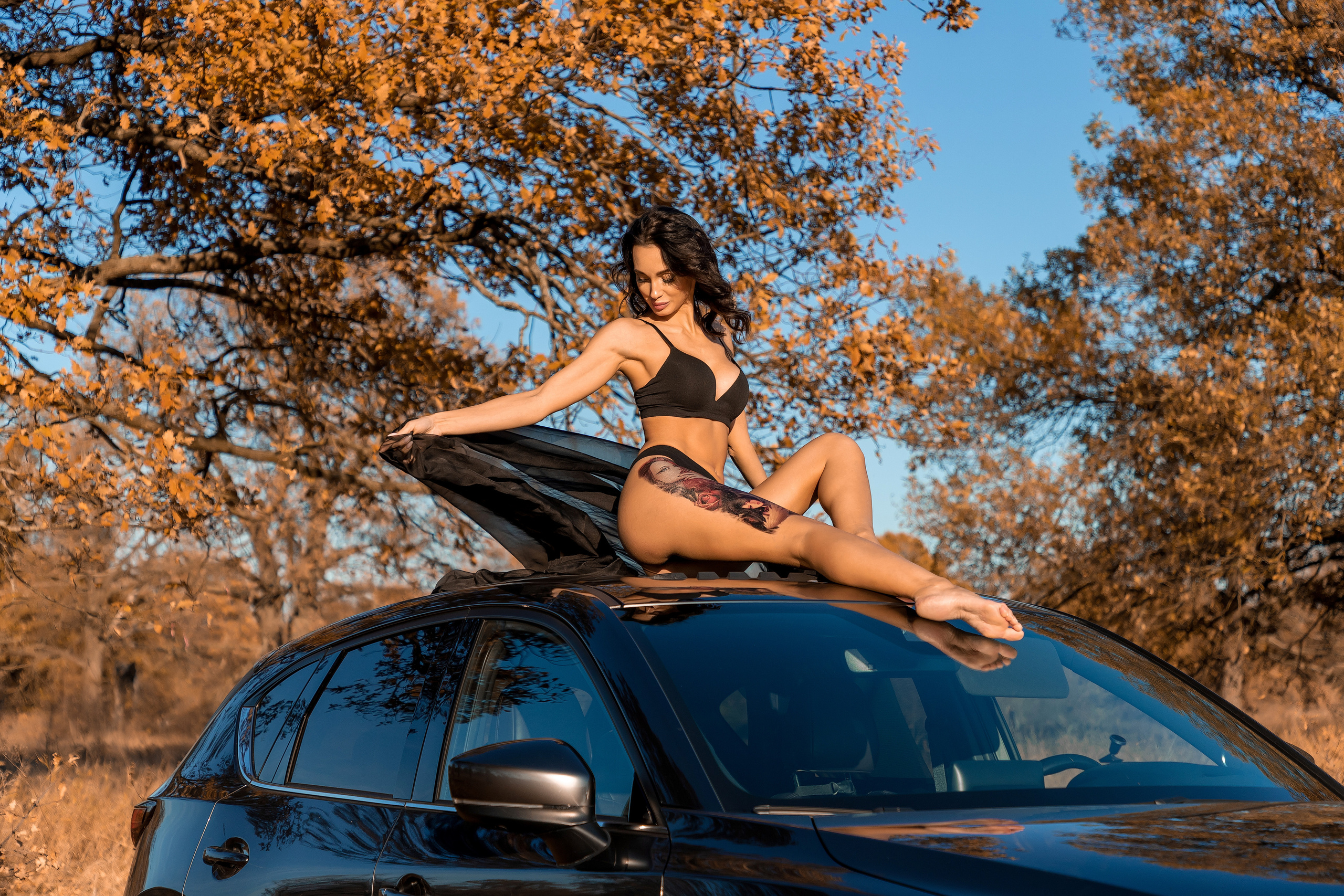 Осень. Фотограф Павел Шрайбикус