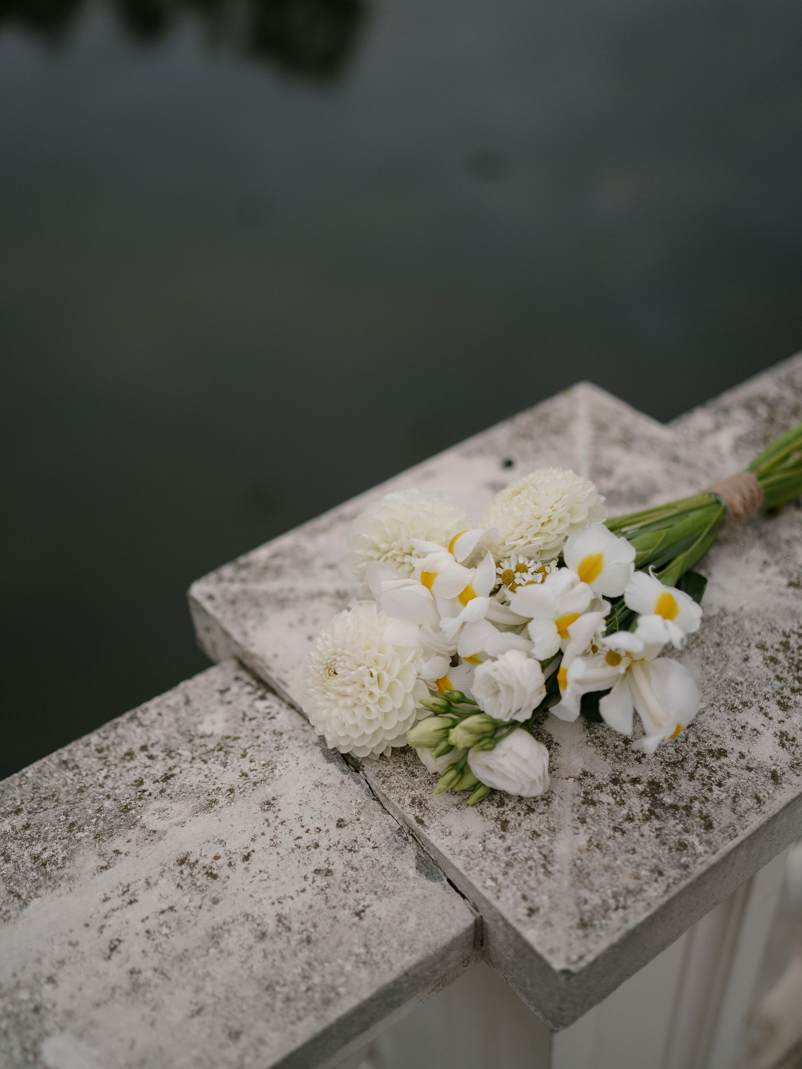 Ксения + Костя 20.08.2024. Свадебный фотограф