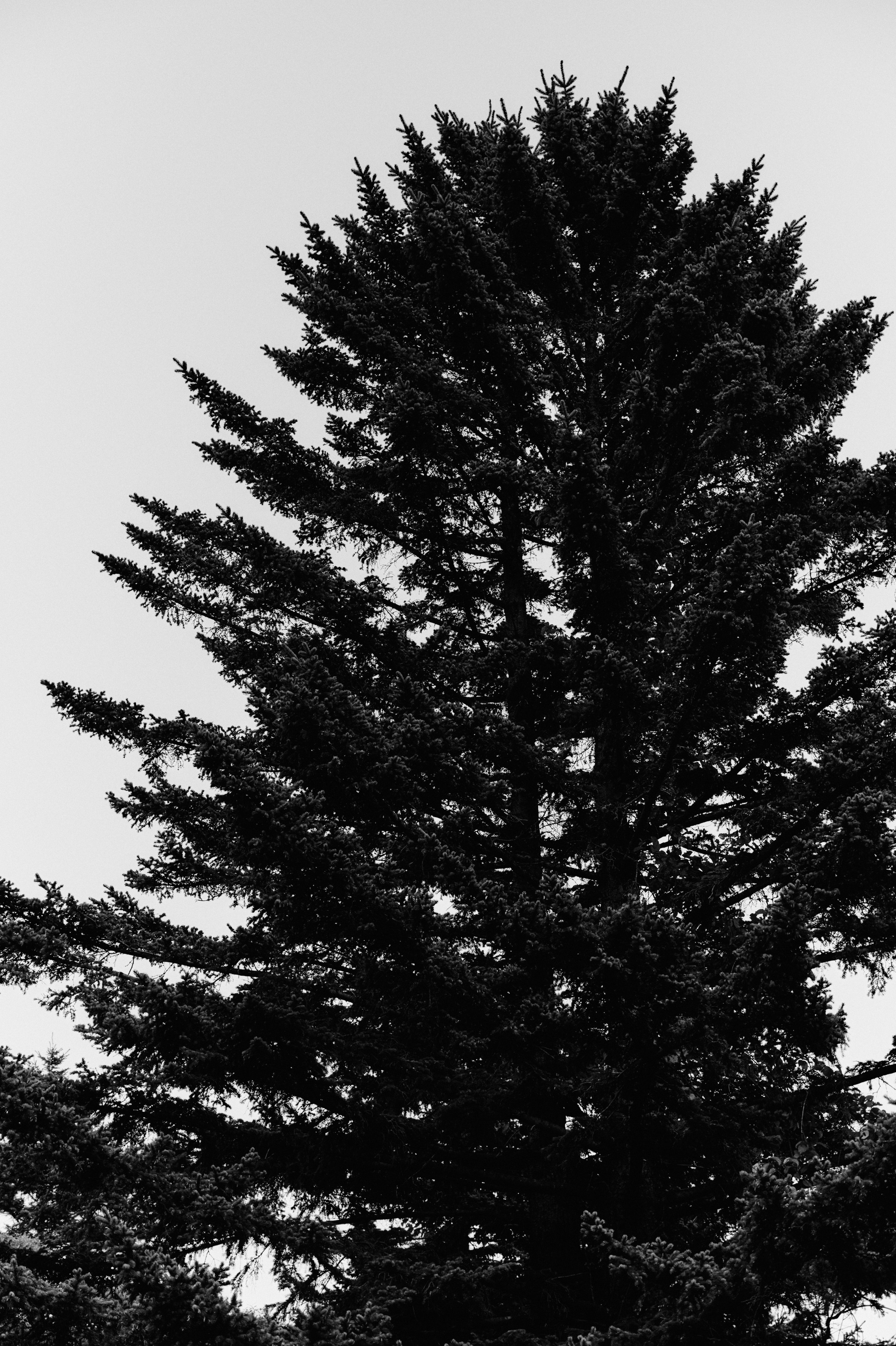 BAON x SAKHALIN. Фотограф Сурков Никита