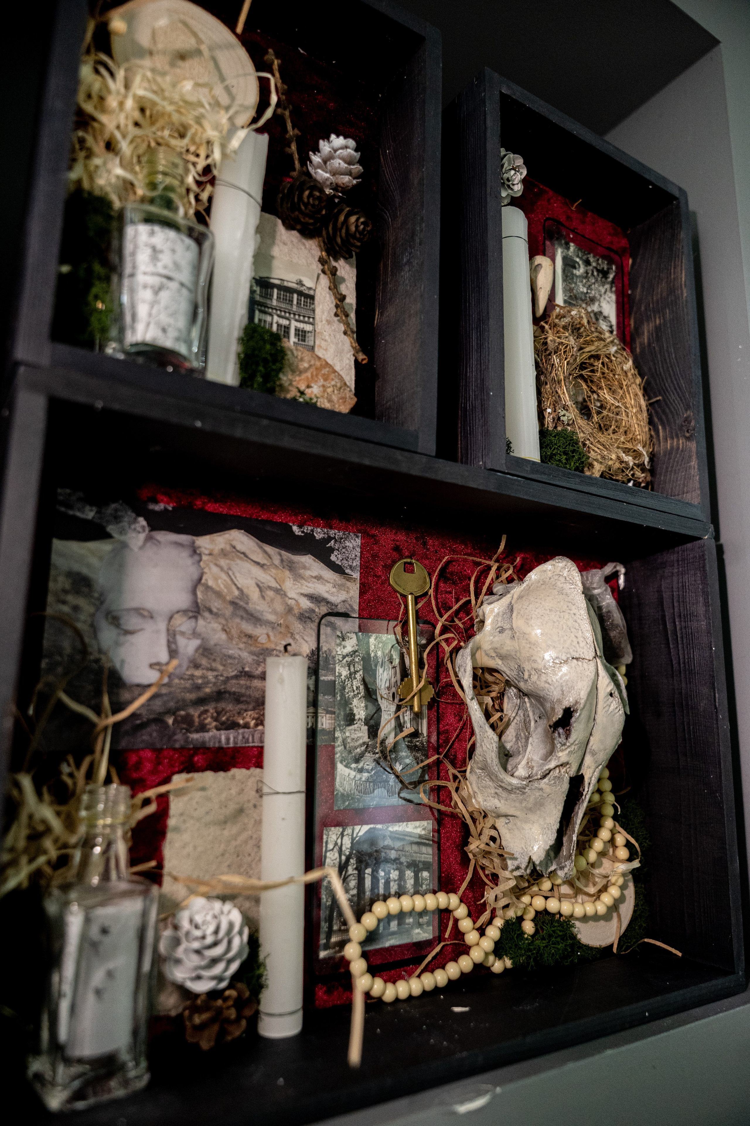 ЛЕС Авторский проект Юлии Якубович 04.11.2025. Портретный и репортажный фотограф в Москве Разуменко Роман