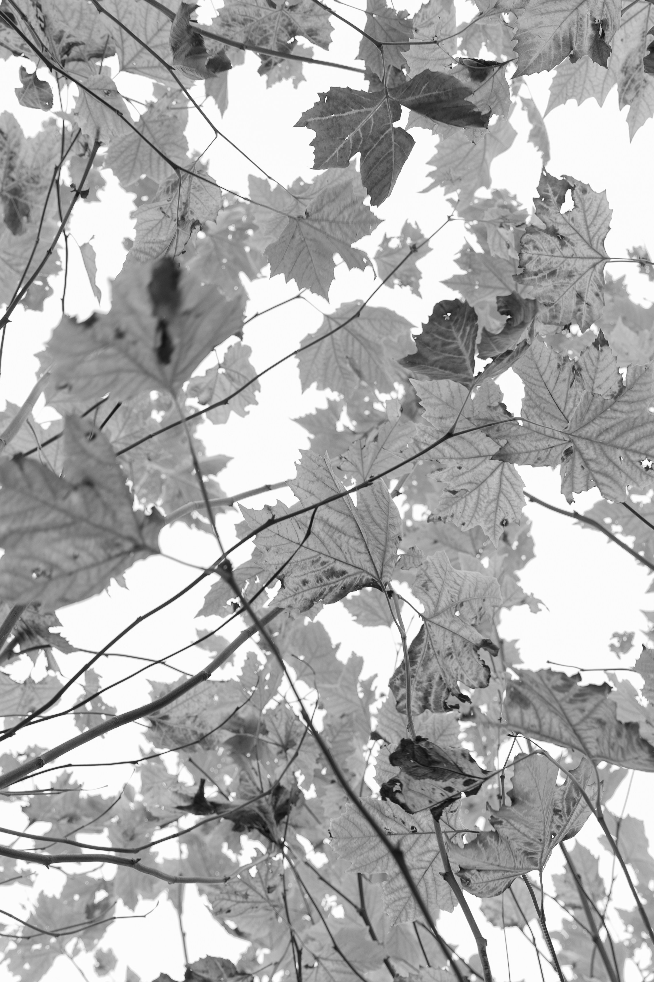 Точка сборки | The assembly point. Фотограф алина стерхова, алина стерхова фотограф, фотограф москва