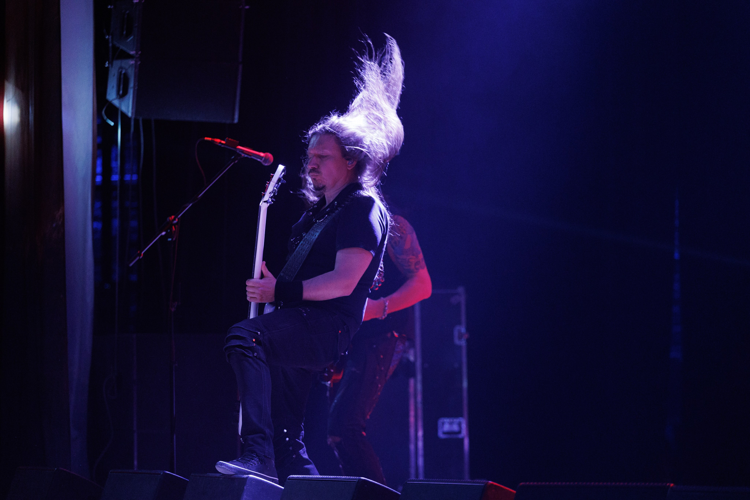 «КИПЕЛОВ». Photomantis